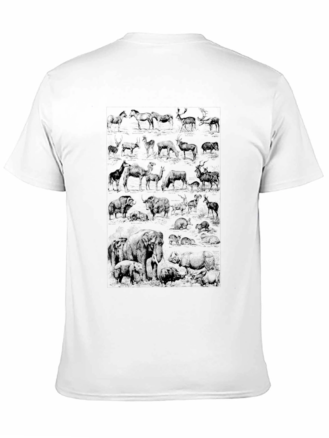 Wildlife Sketch Graphic Tee - Black Cotton Casual Shirt