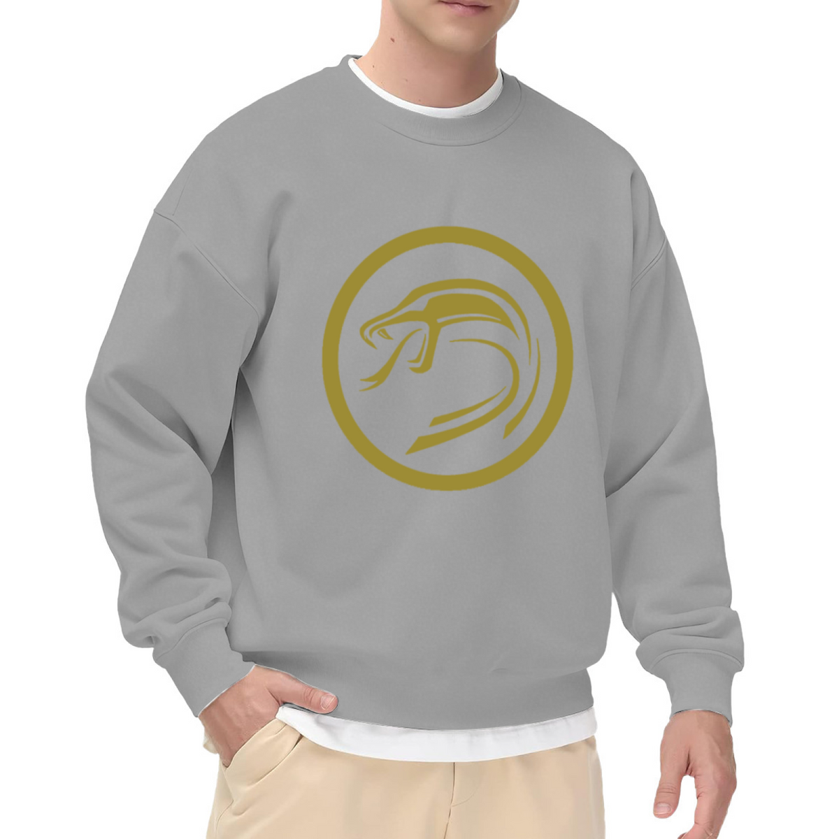 Minimalist Bird & Shield Emblem Graphic ԲÁìÎÀÒ - Unique Design Pullover Sweatshirt