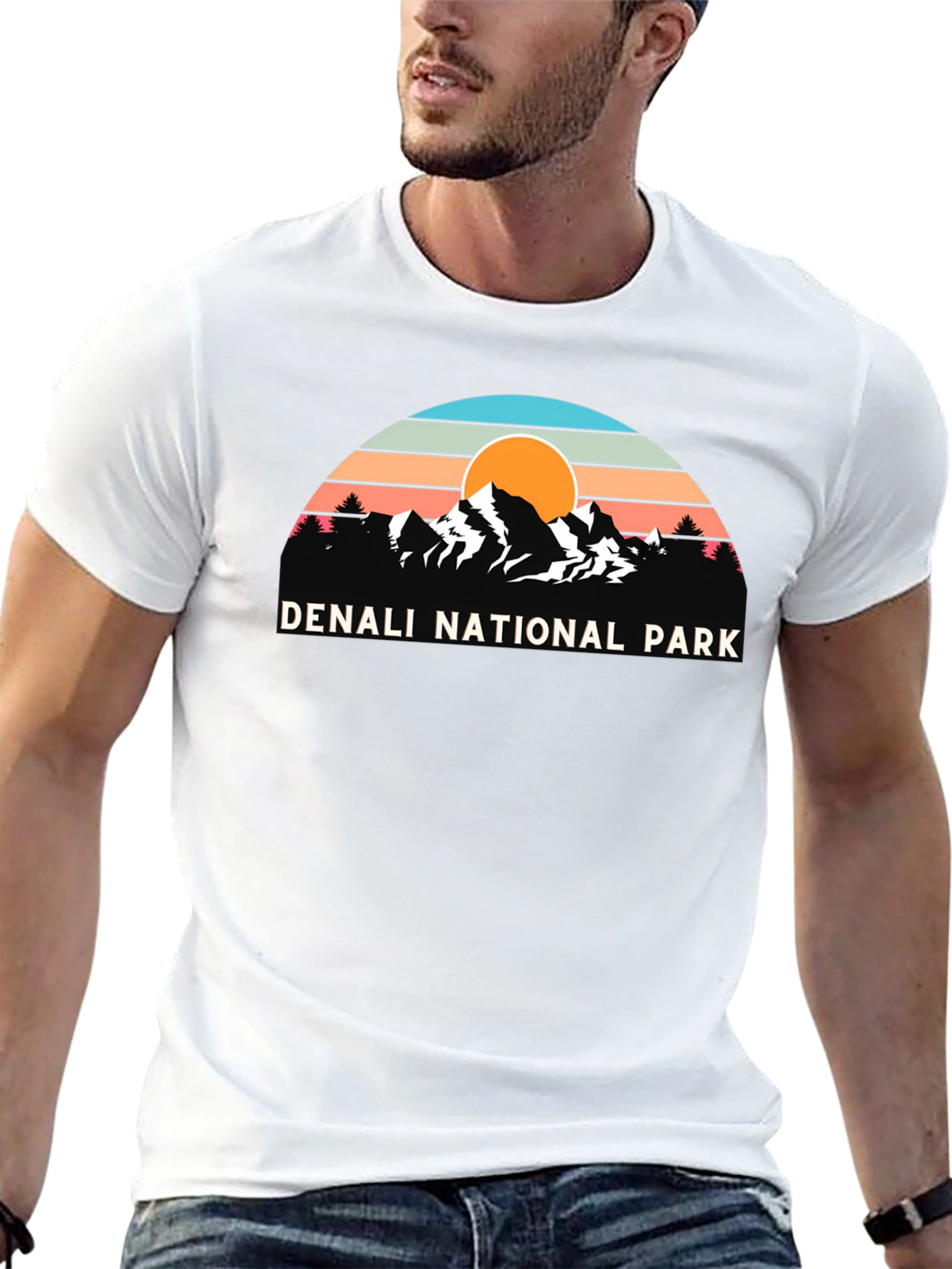 Denali National Park Retro Graphic T-Shirt
