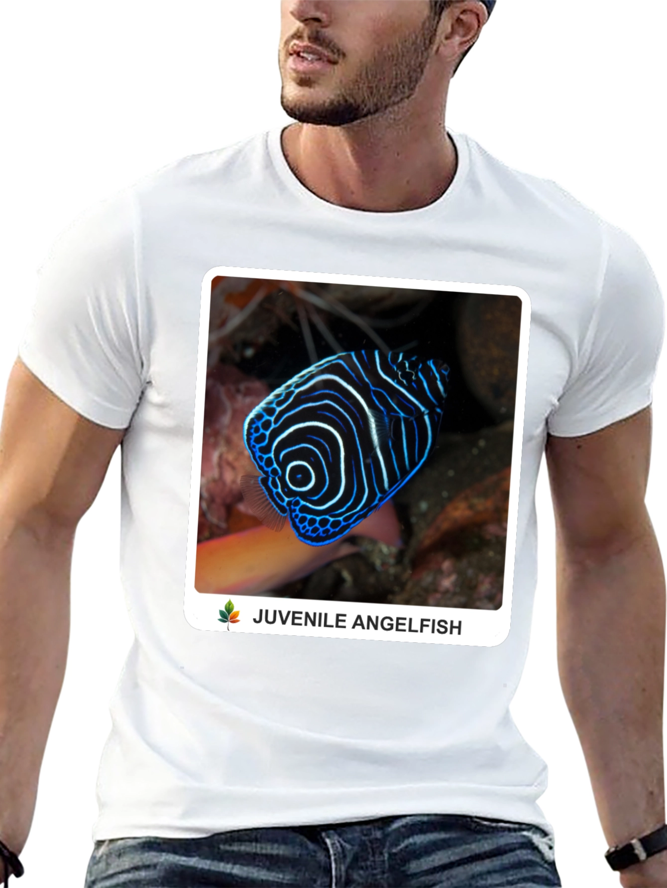 Juvenile Angelfish Graphic T-Shirt