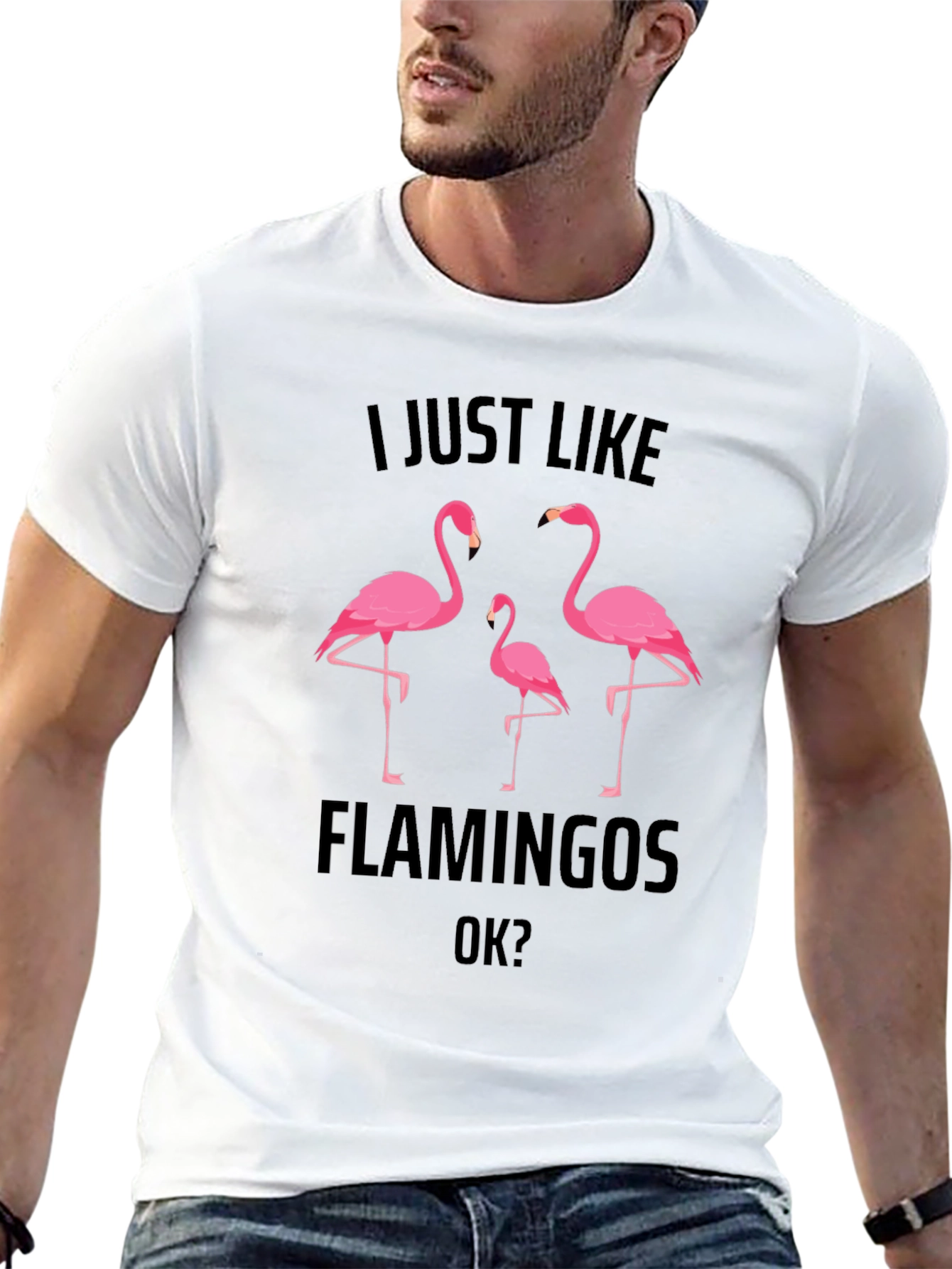 Flamingo Graphic Tee - Mens Black T-Shirt