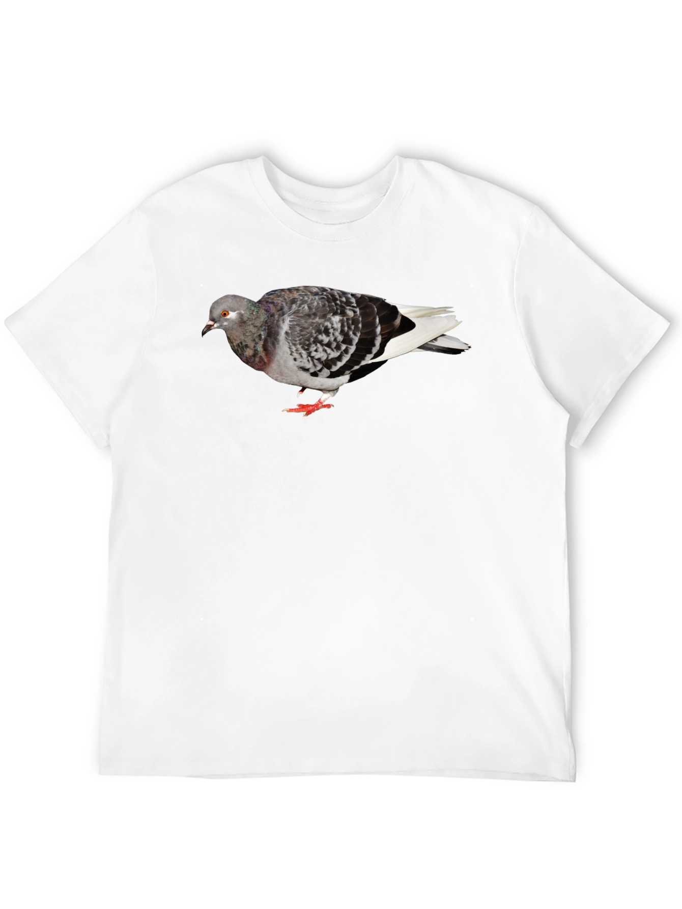 Pigeon Graphic Black T-Shirt