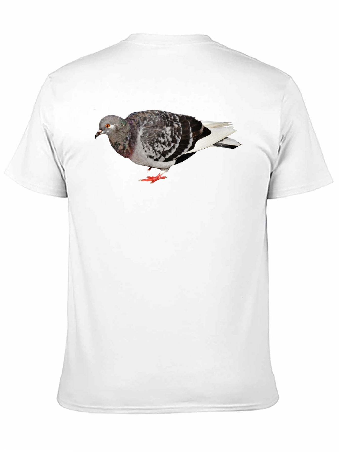 Pigeon Graphic Black T-Shirt