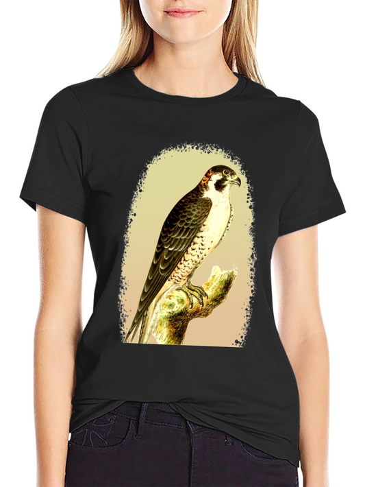 Falcon Graphic Tee - Vintage Bird Illustration T-Shirt