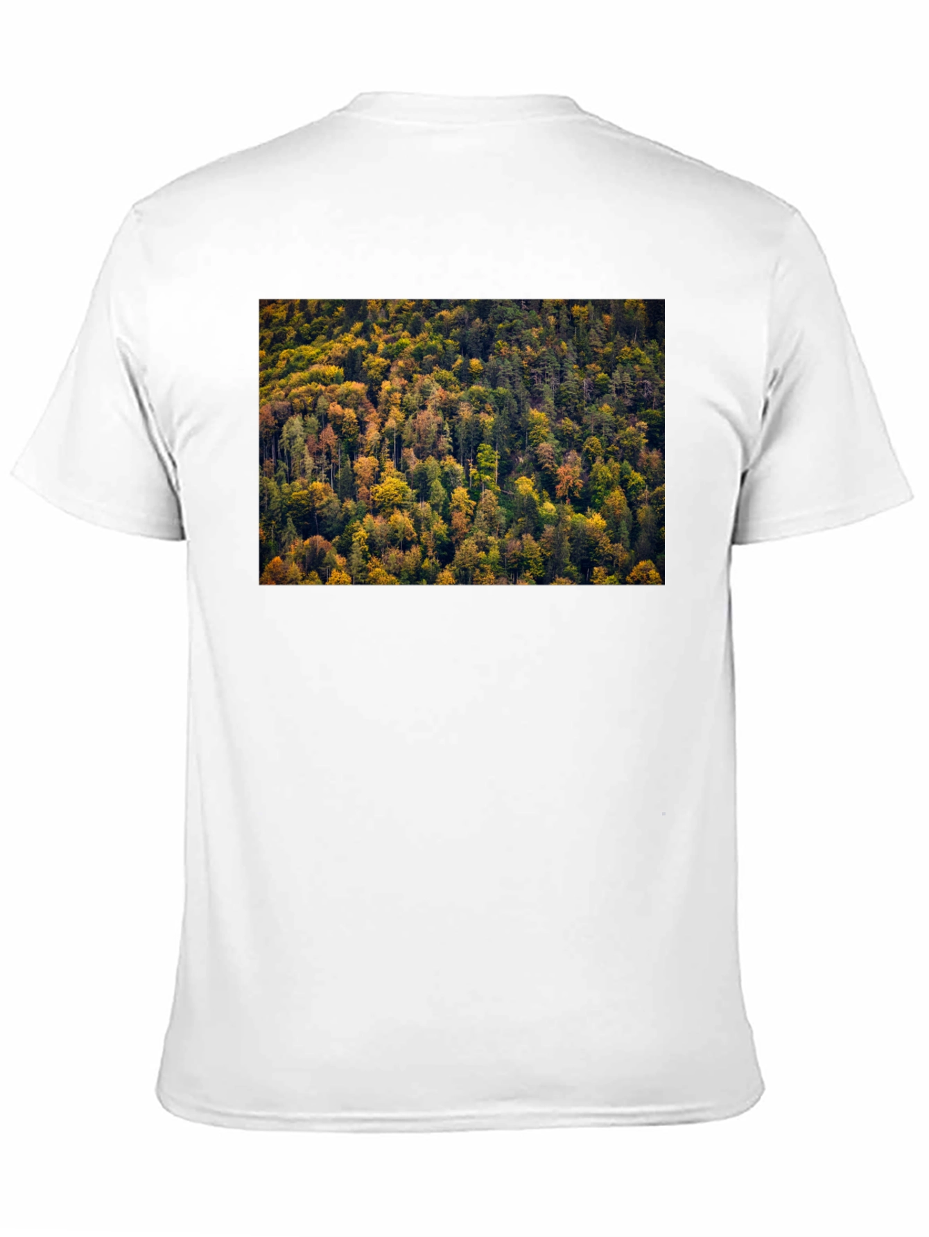 Autumn Forest T-Shirt - Nature Inspired Tee