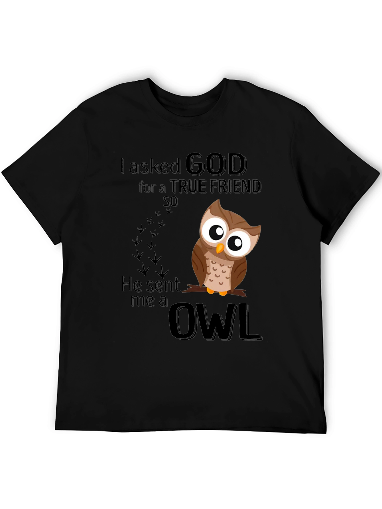 God Sent Me an Owl T-Shirt