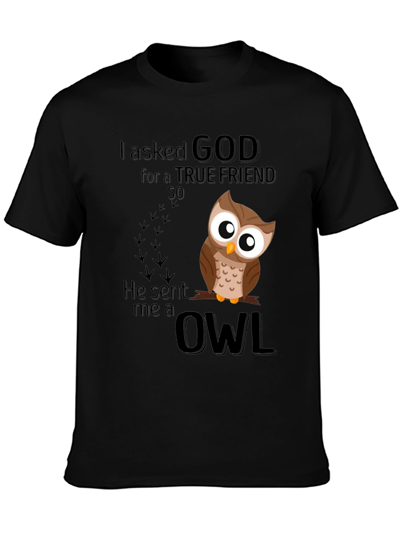God Sent Me an Owl T-Shirt
