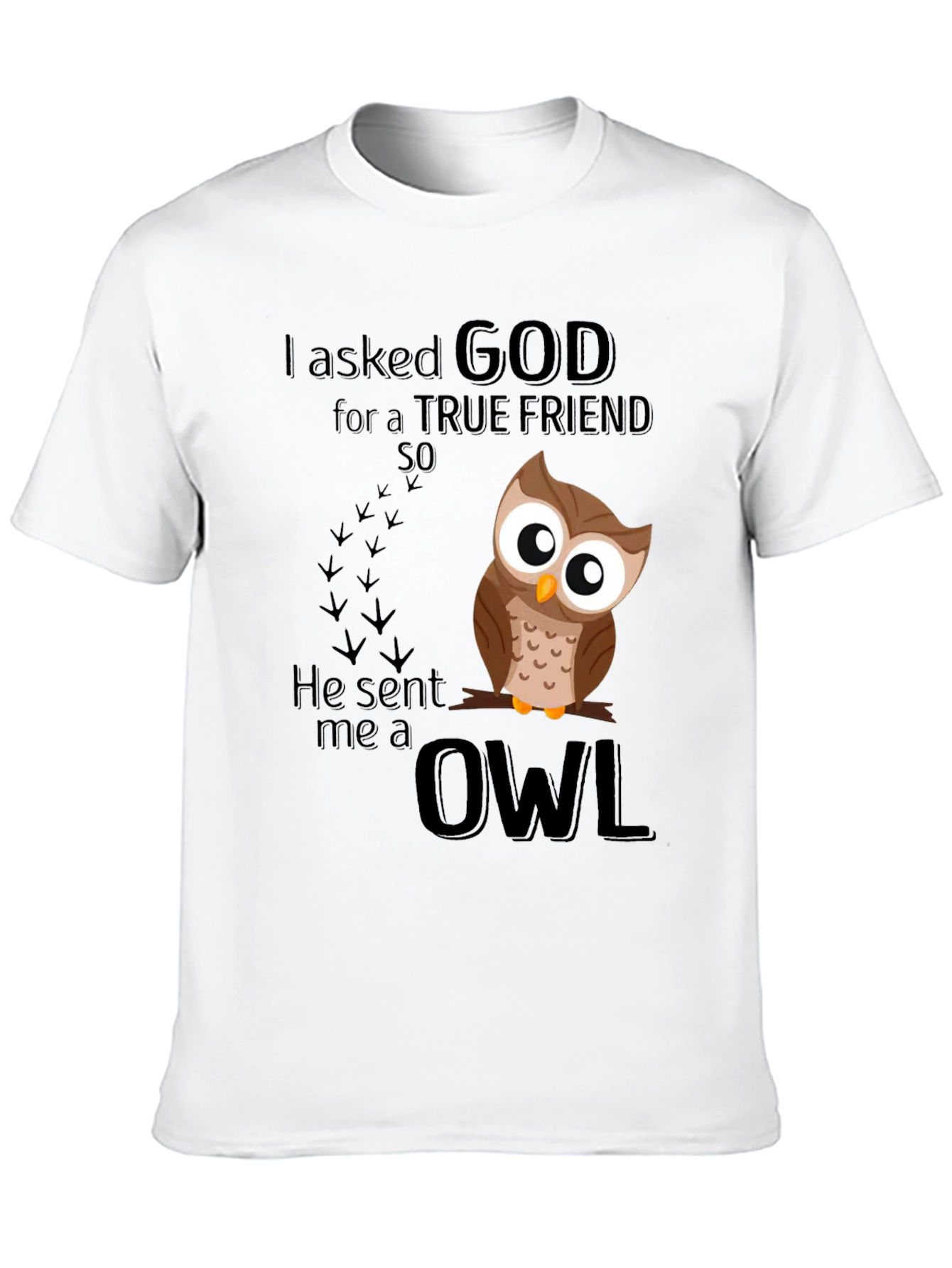 God Sent Me an Owl T-Shirt