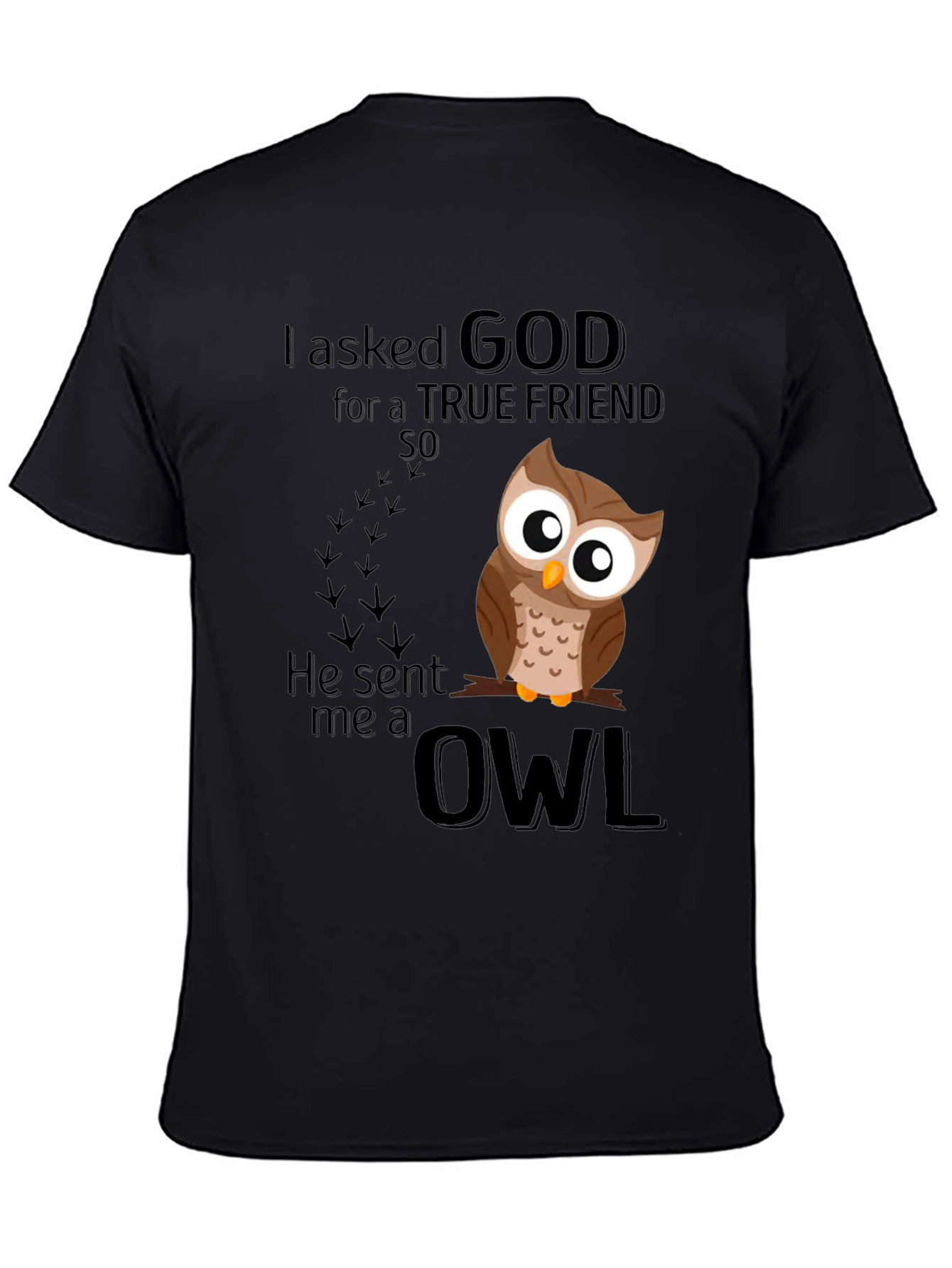 God Sent Me an Owl T-Shirt