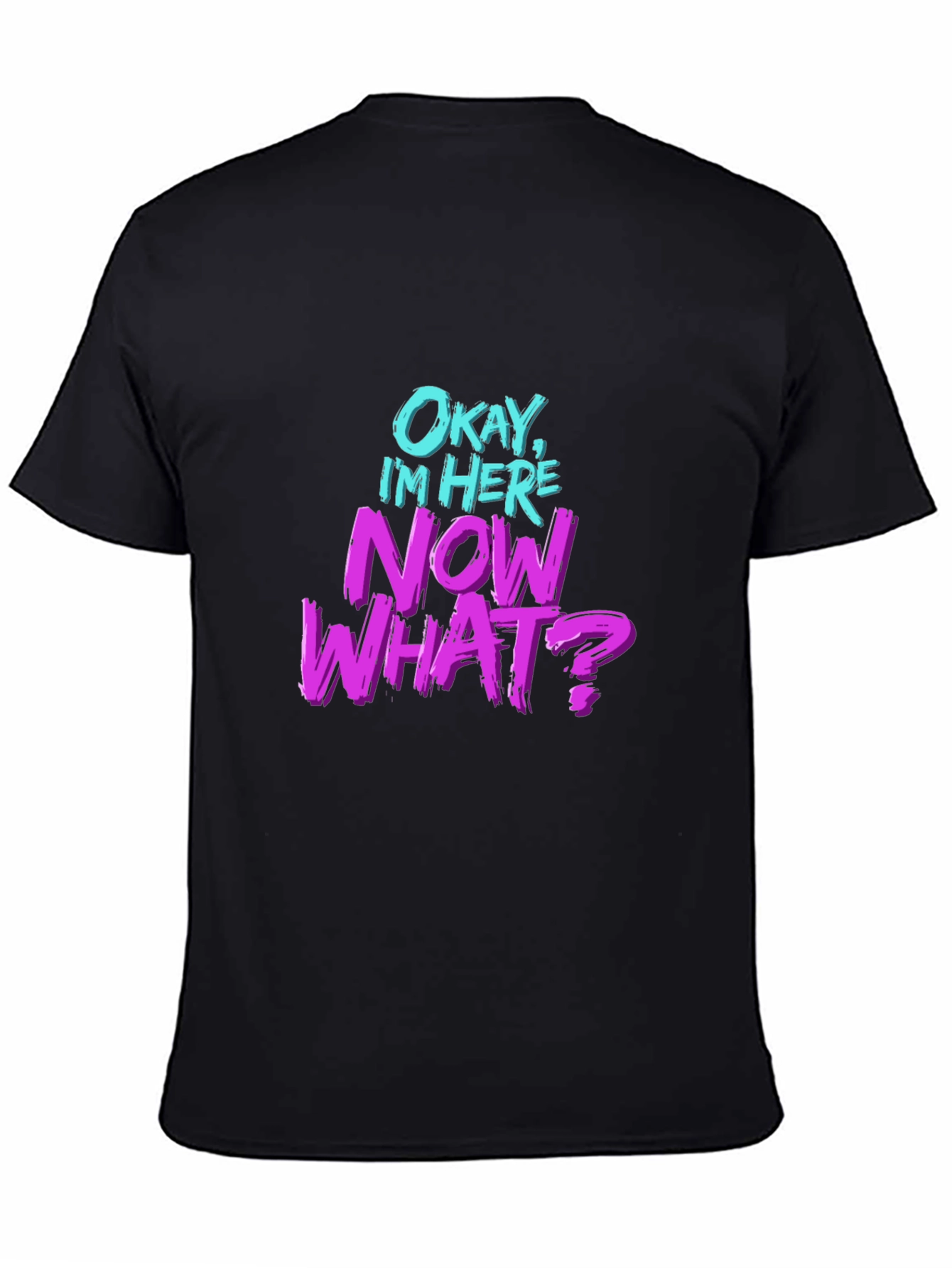 Okay Im Here Now What? Graphic T-Shirt