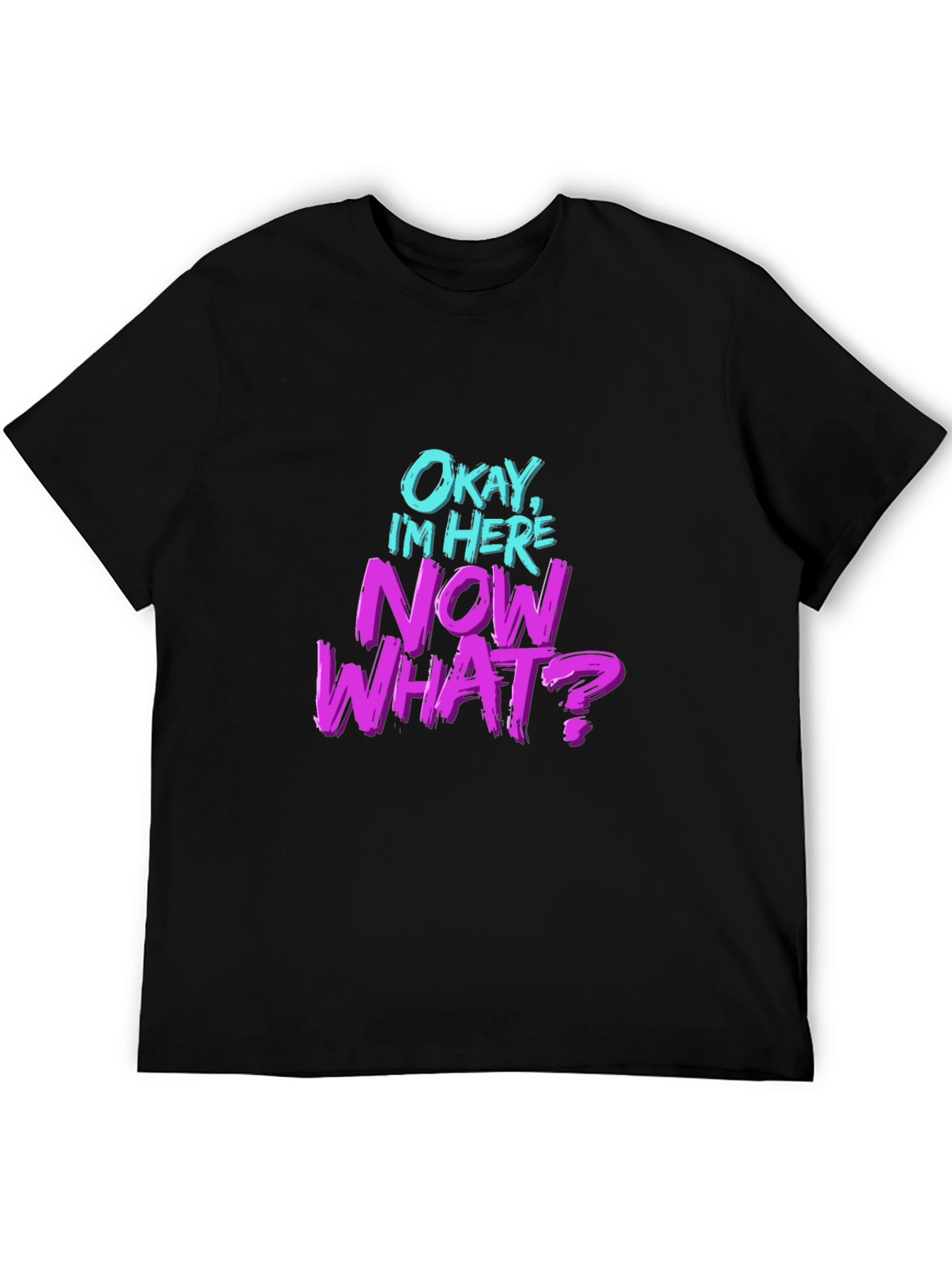 Okay Im Here Now What? Graphic T-Shirt