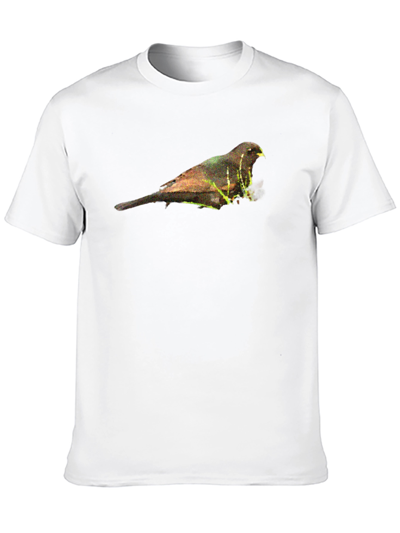 Bird Graphic Black T-Shirt - Nature Inspired Apparel