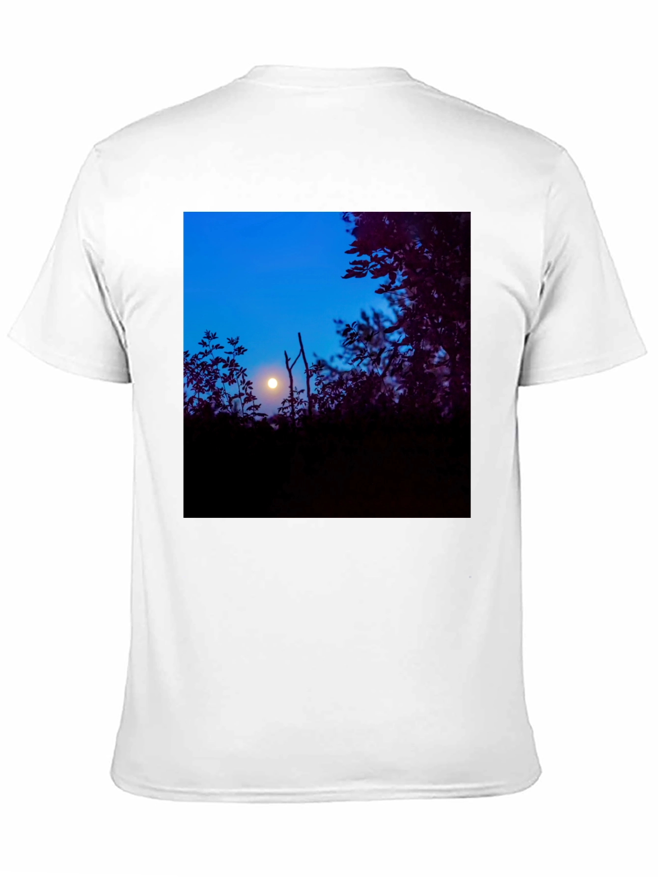 Moonlit Trees Black Tee