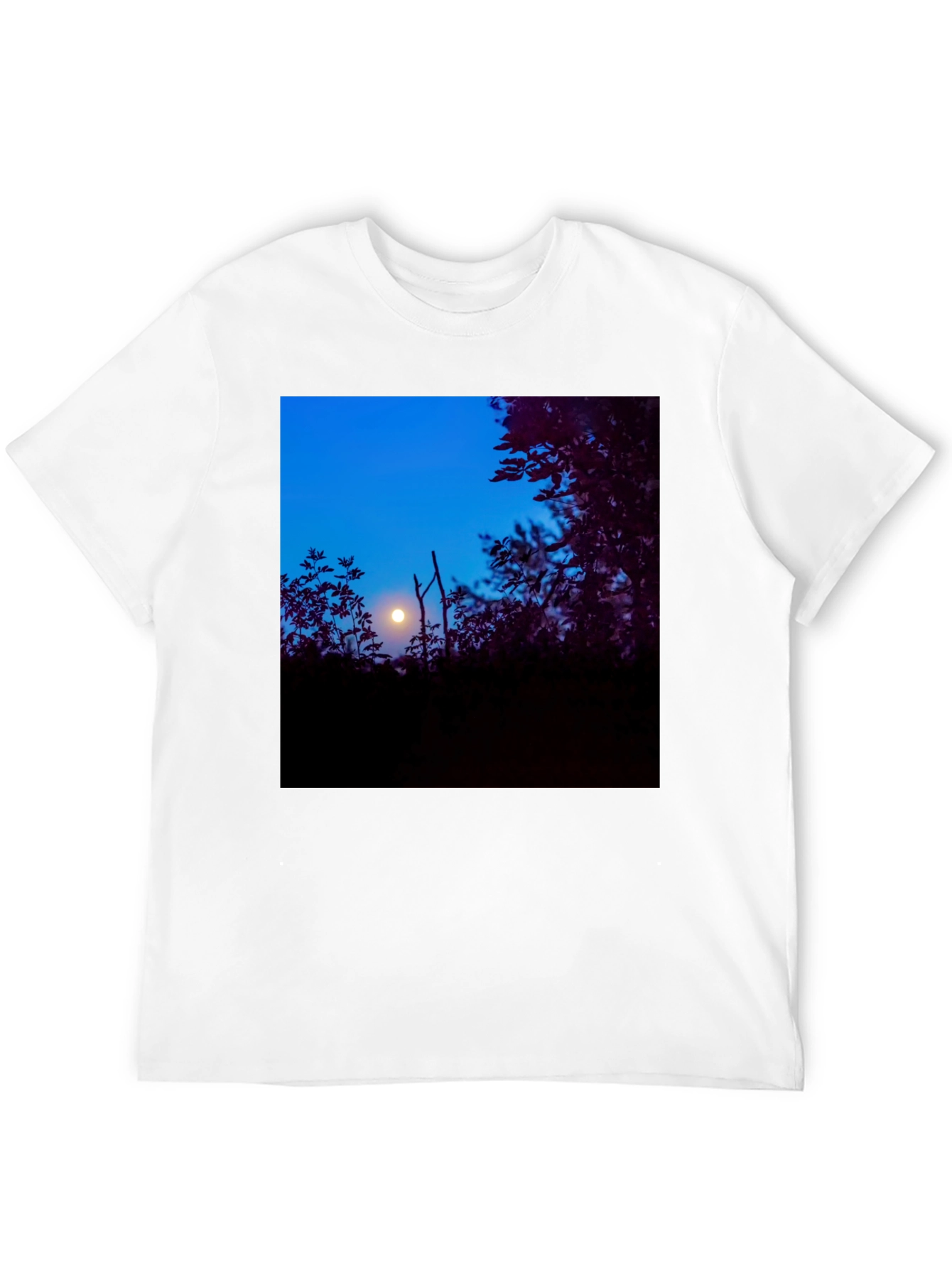 Moonlit Trees Black Tee