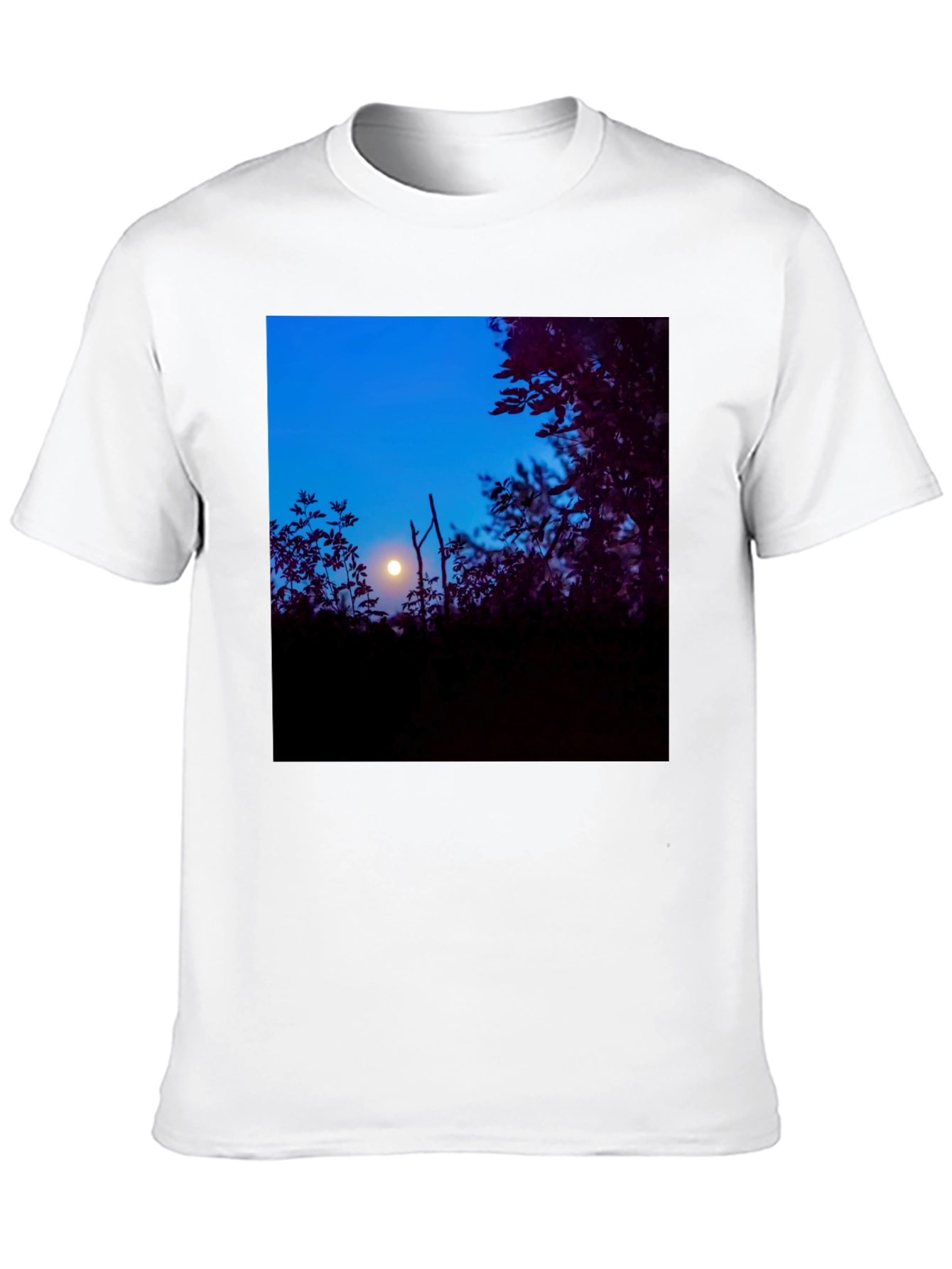 Moonlit Trees Black Tee