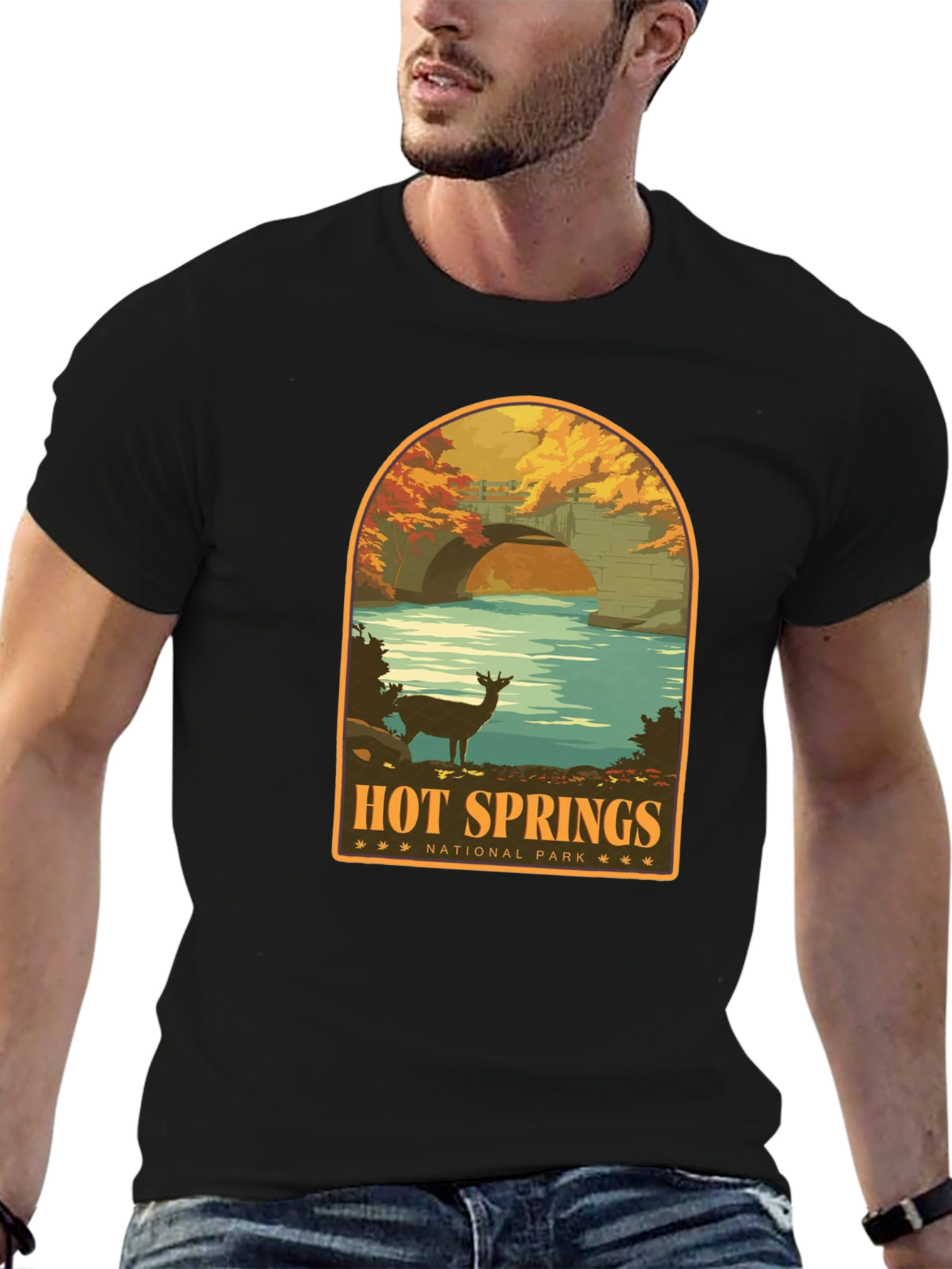 Hot Springs National Park T-Shirt
