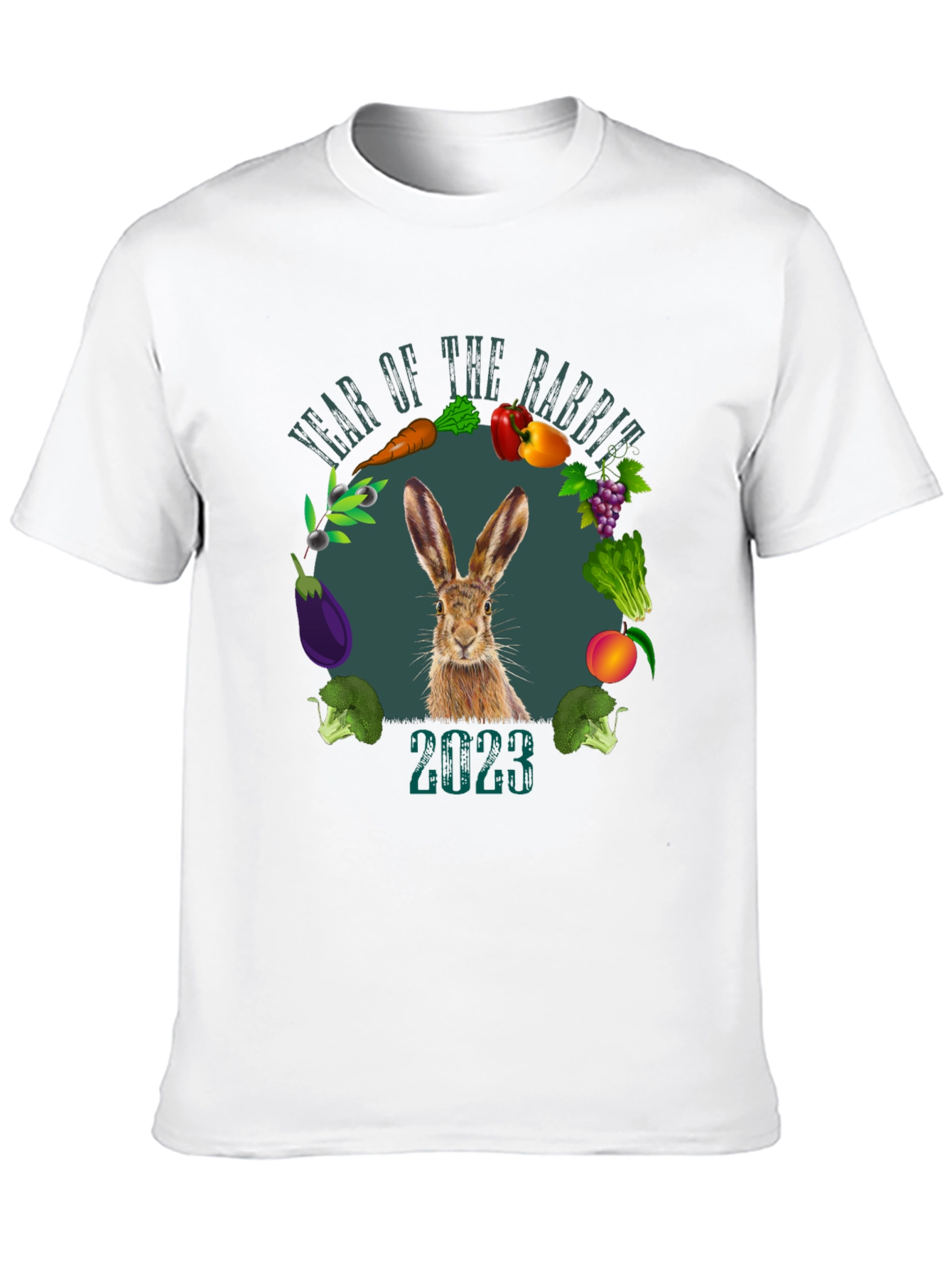 Year of the Rabbit 2023 Graphic T-Shirt