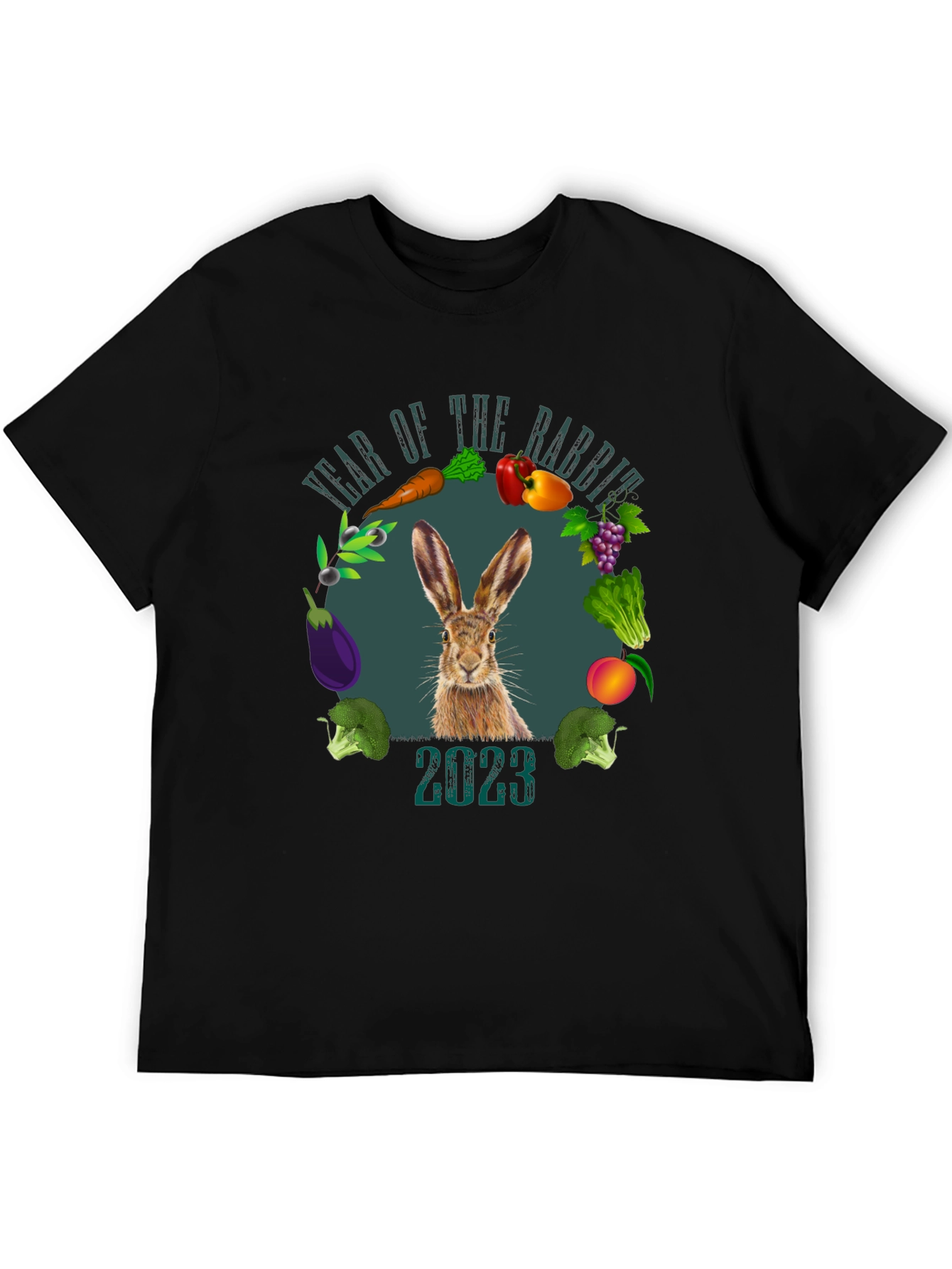 Year of the Rabbit 2023 Graphic T-Shirt