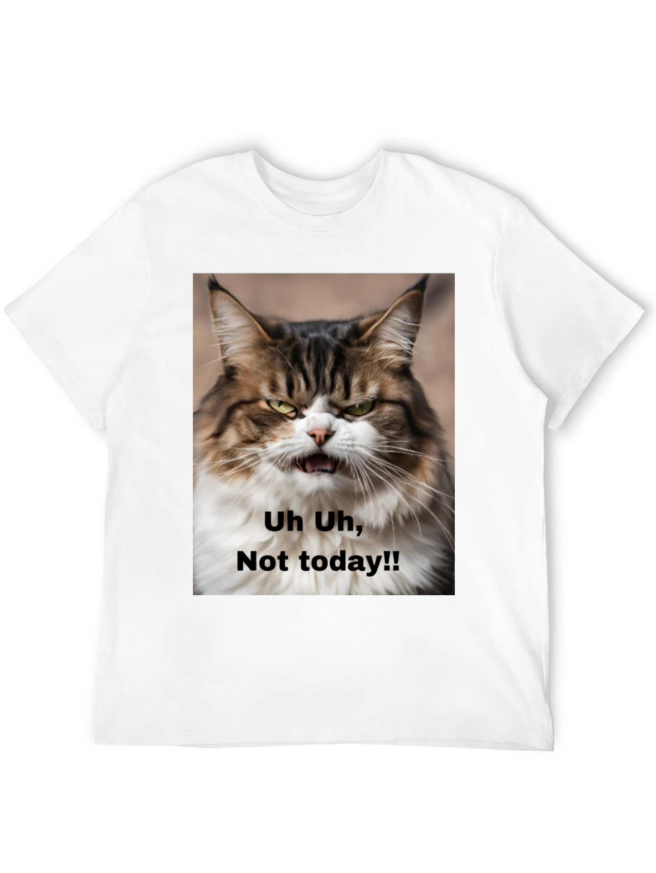 Grumpy Cat T-Shirt - Not Today! Unisex Black Tee