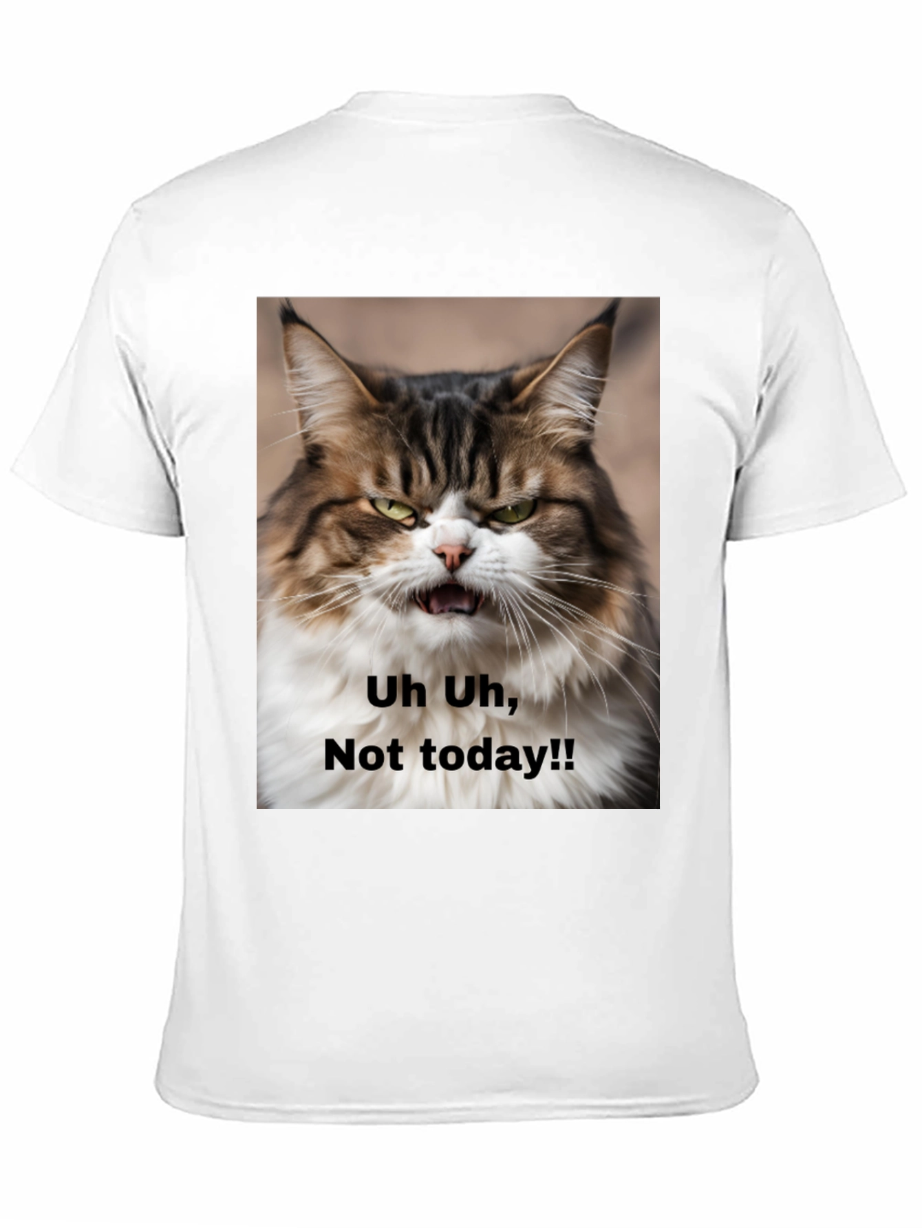 Grumpy Cat T-Shirt - Not Today! Unisex Black Tee