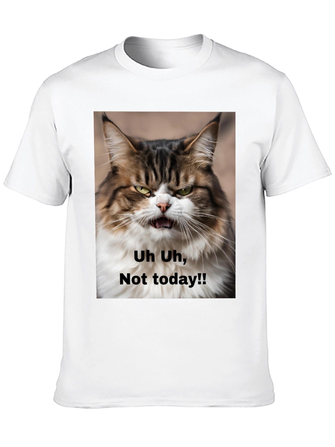 Grumpy Cat T-Shirt - Not Today! Unisex Black Tee