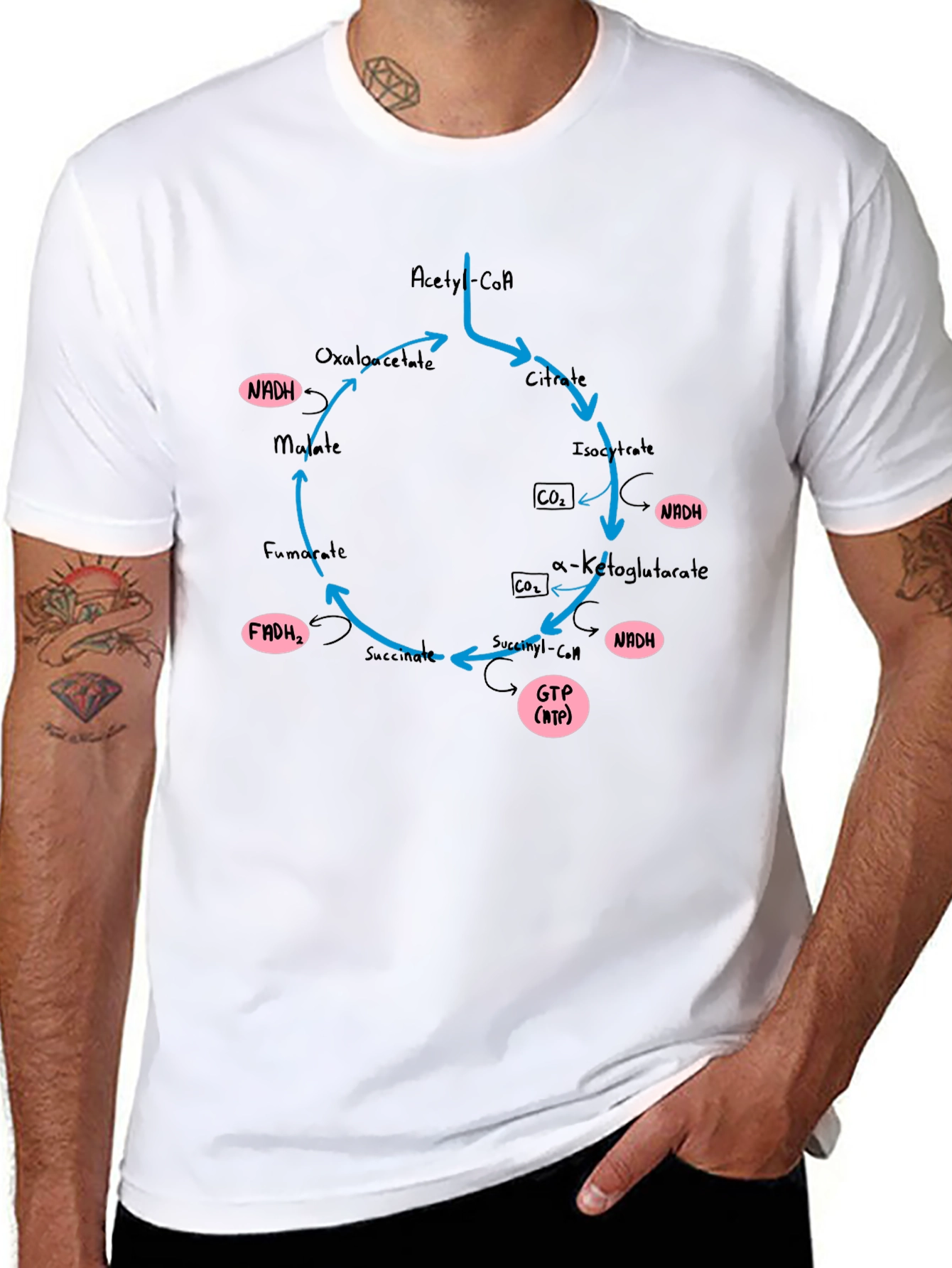 Krebs Cycle T-Shirt - Biology Geek Chic