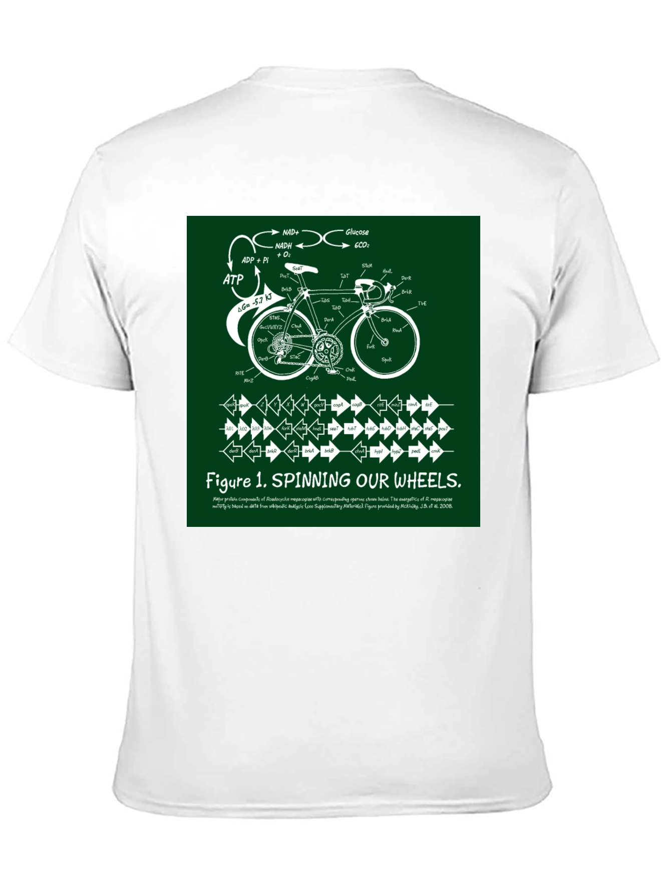 Spinning Our Wheels T-Shirt