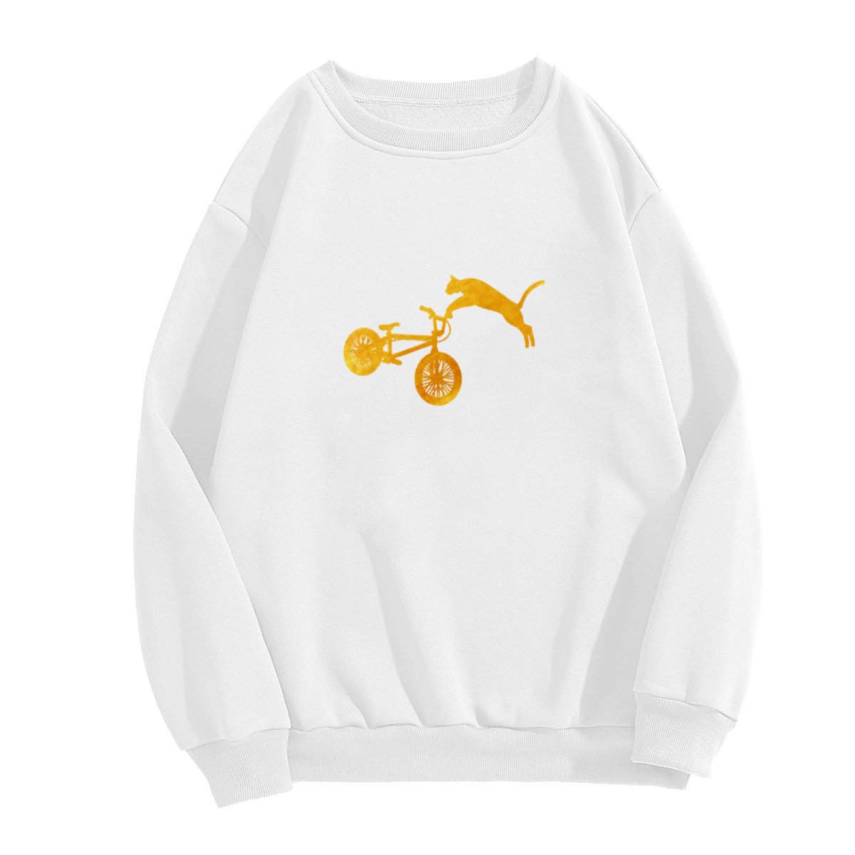 Bicycle & Pi Symbol Graphic ԲÁìÎÀÒÂ - Unique Design Pullover Sweatshirt