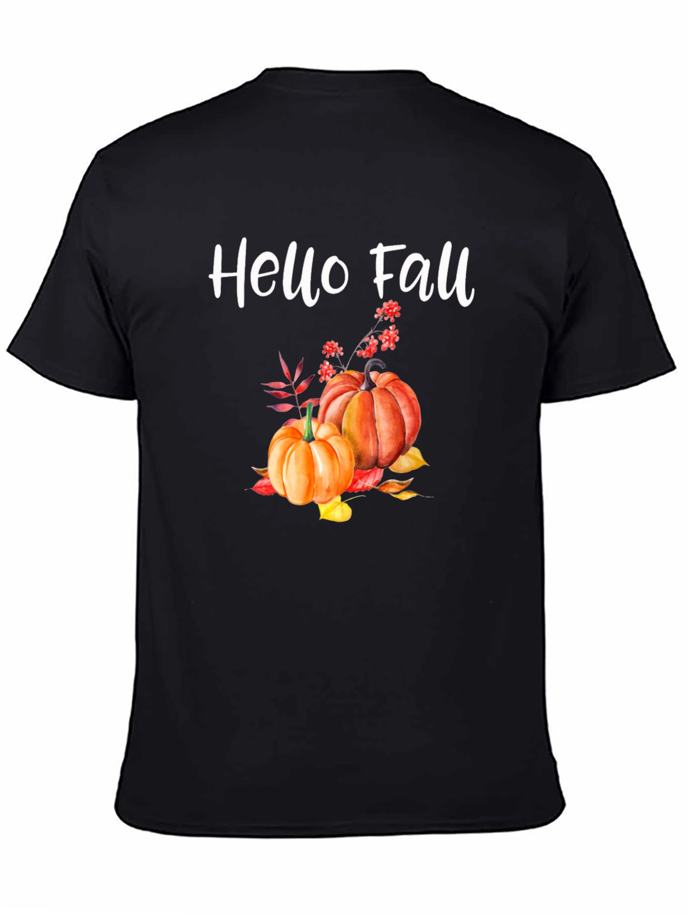 Hello Fall Pumpkin T-Shirt