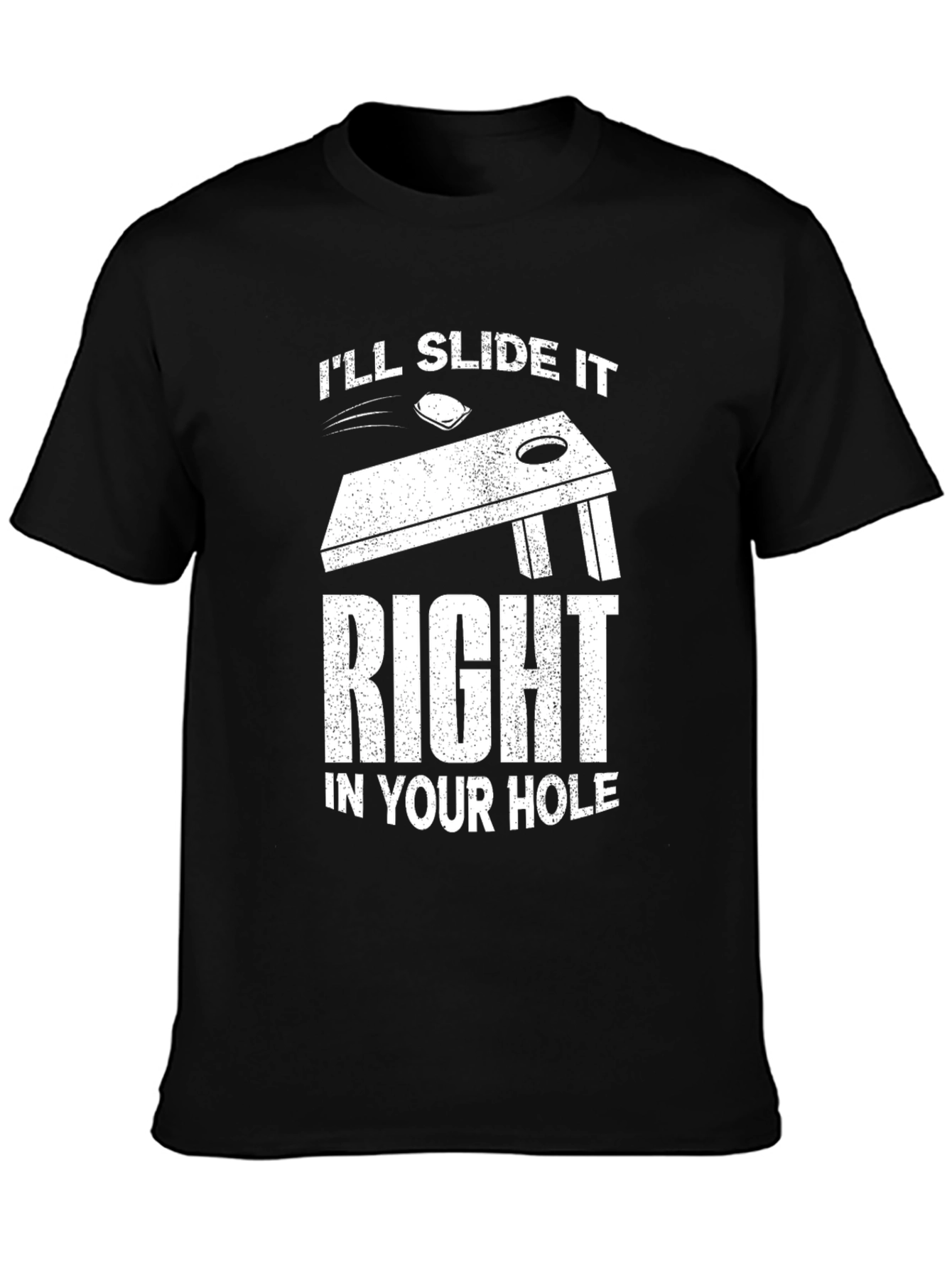 Ill Slide It Right In Your Hole T-Shirt