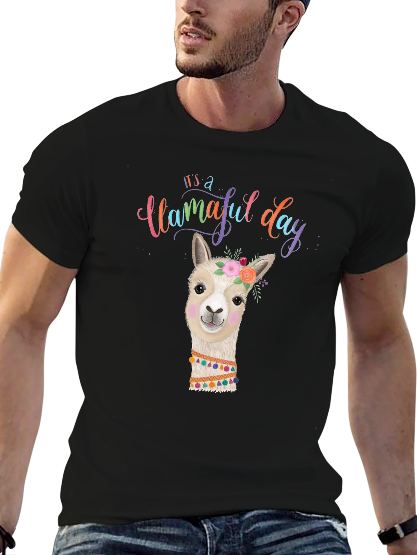 Llamaful Day Black Graphic Tee