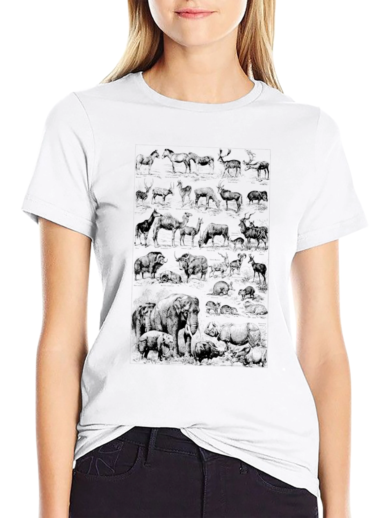 Wildlife Sketch Graphic Tee - Black Cotton Casual Shirt