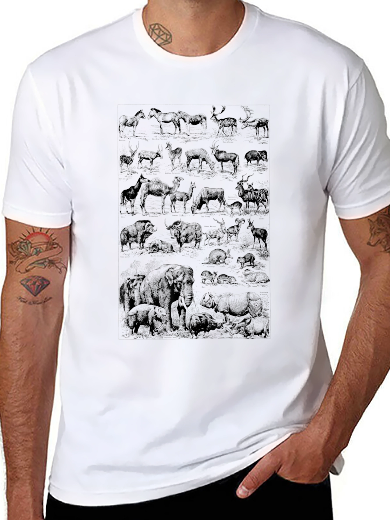 Wildlife Sketch Graphic Tee - Black Cotton Casual Shirt