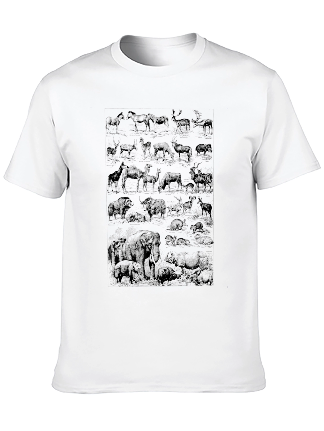 Wildlife Sketch Graphic Tee - Black Cotton Casual Shirt