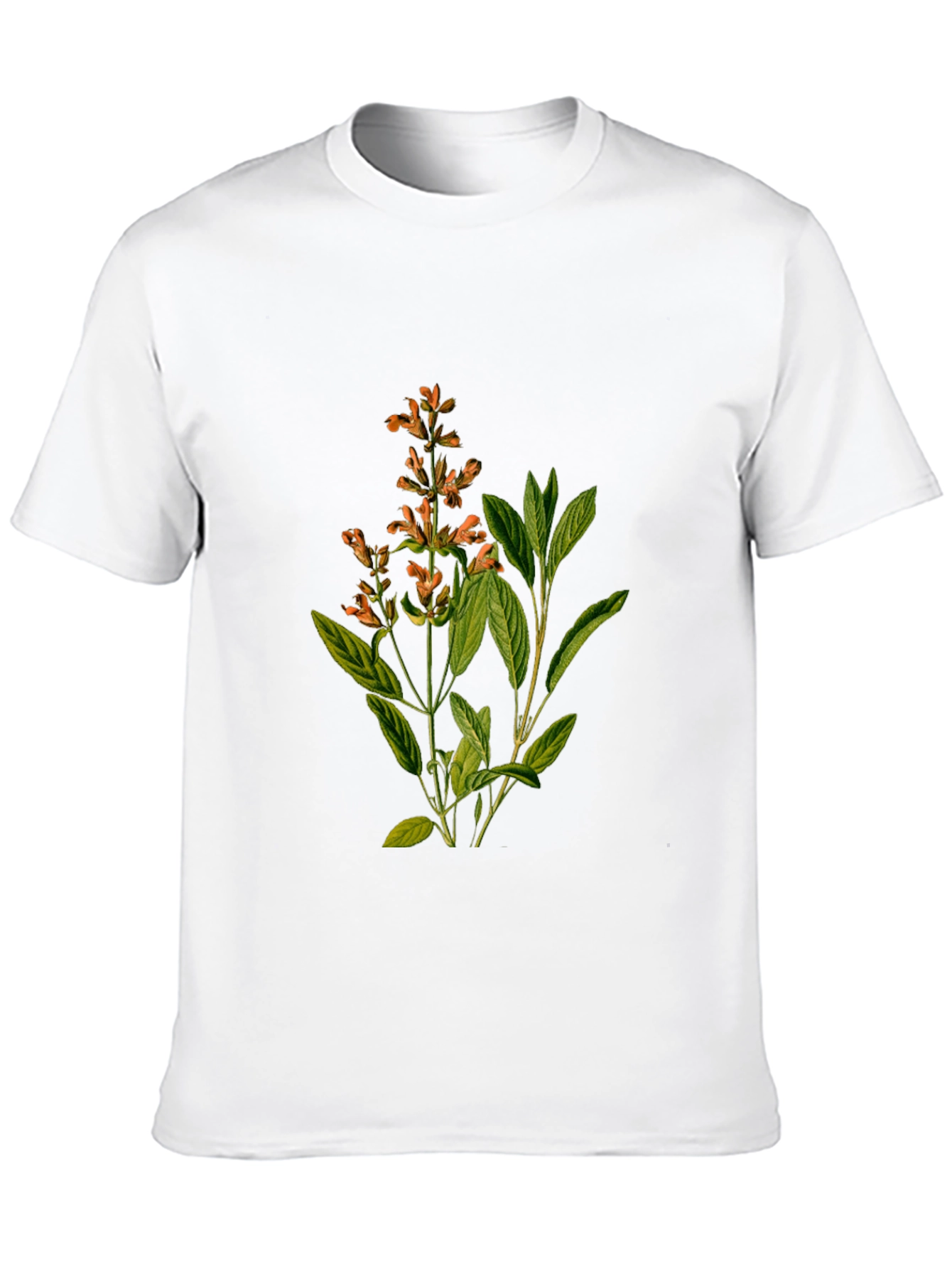 Botanical Sage Print Black T-Shirt