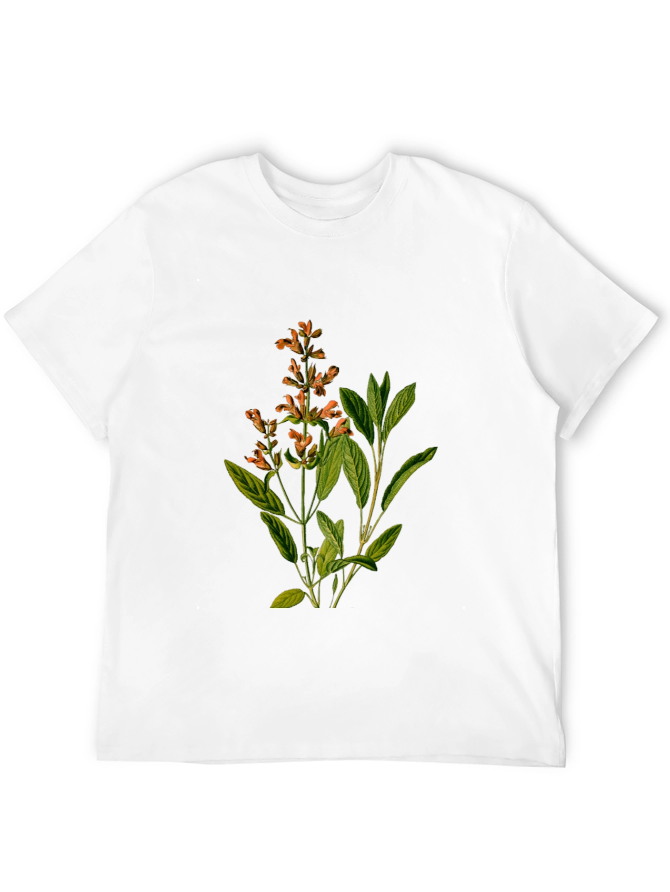 Botanical Sage Print Black T-Shirt