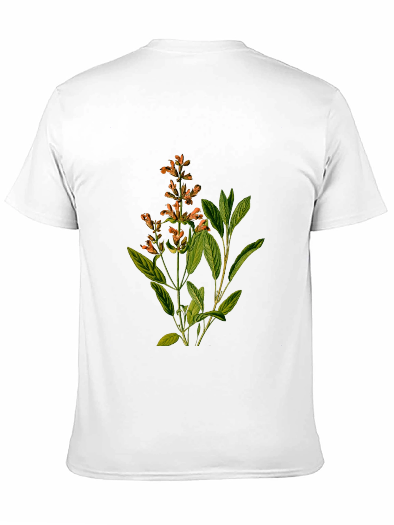 Botanical Sage Print Black T-Shirt
