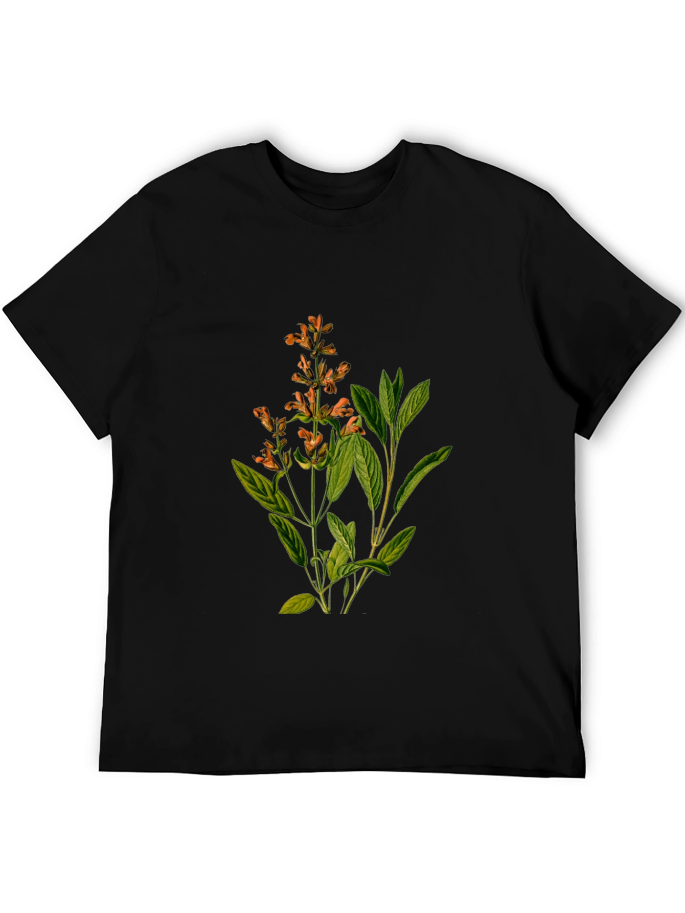 Botanical Sage Print Black T-Shirt