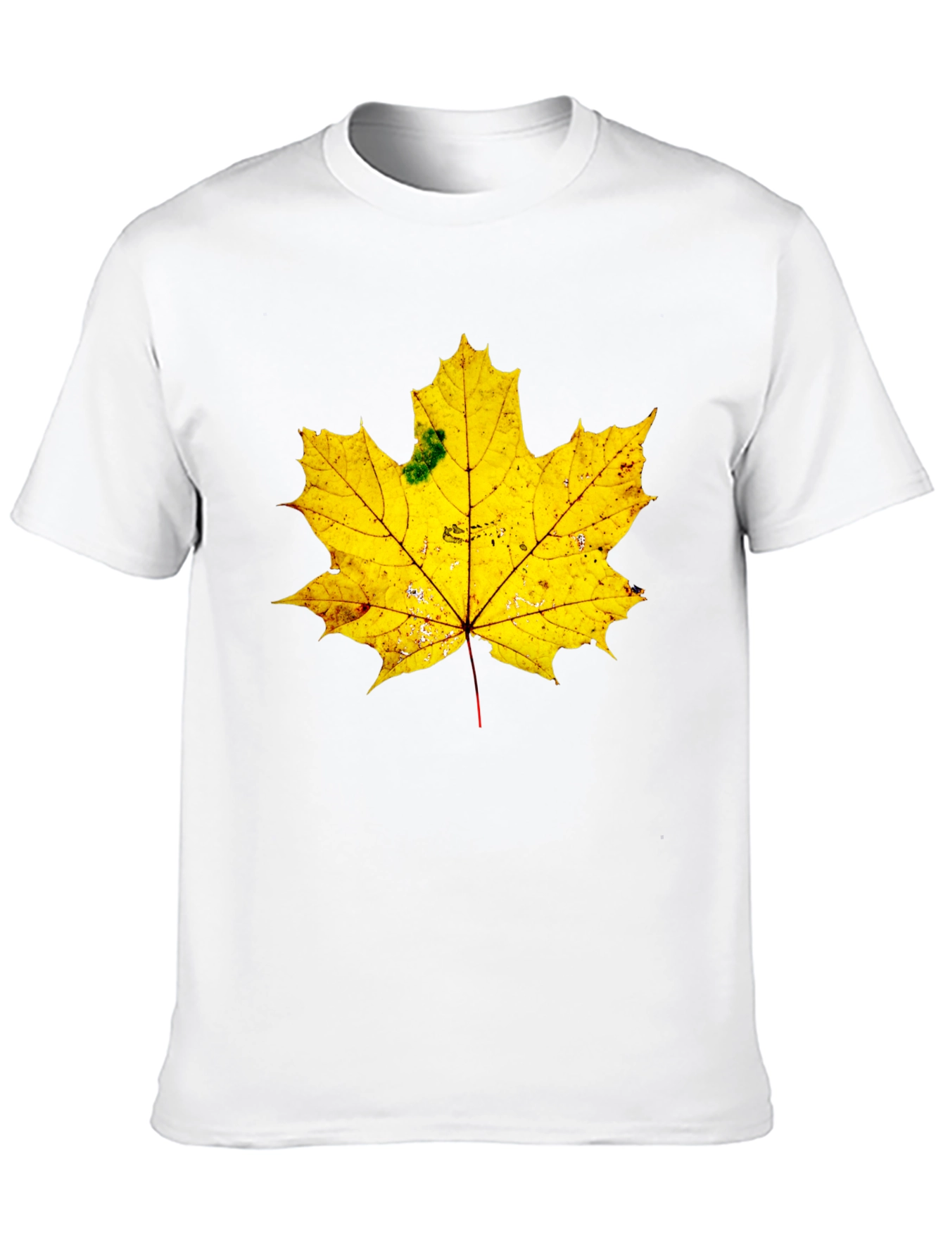 Maple Leaf Graphic Tee - Black Cotton