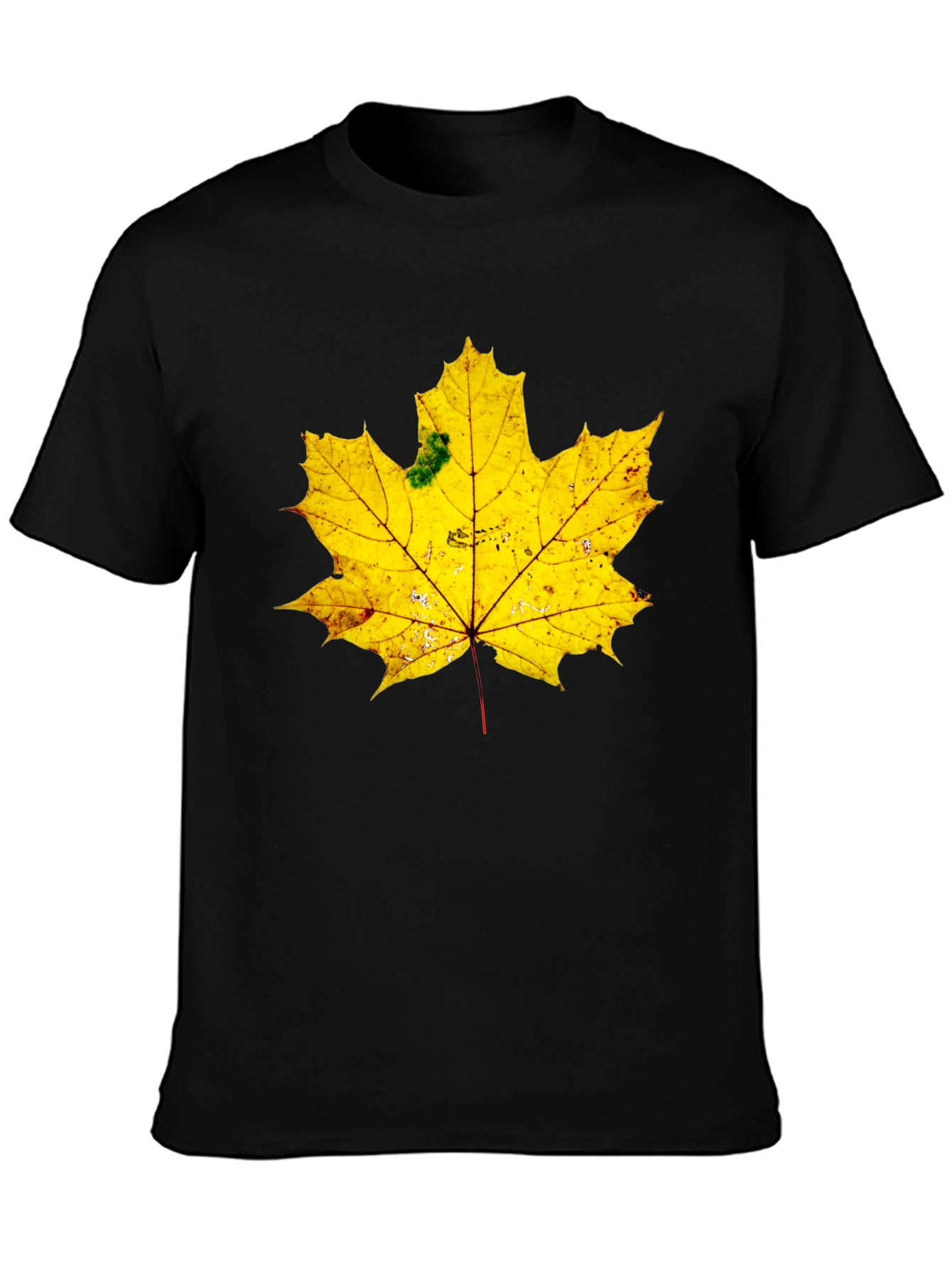 Maple Leaf Graphic Tee - Black Cotton