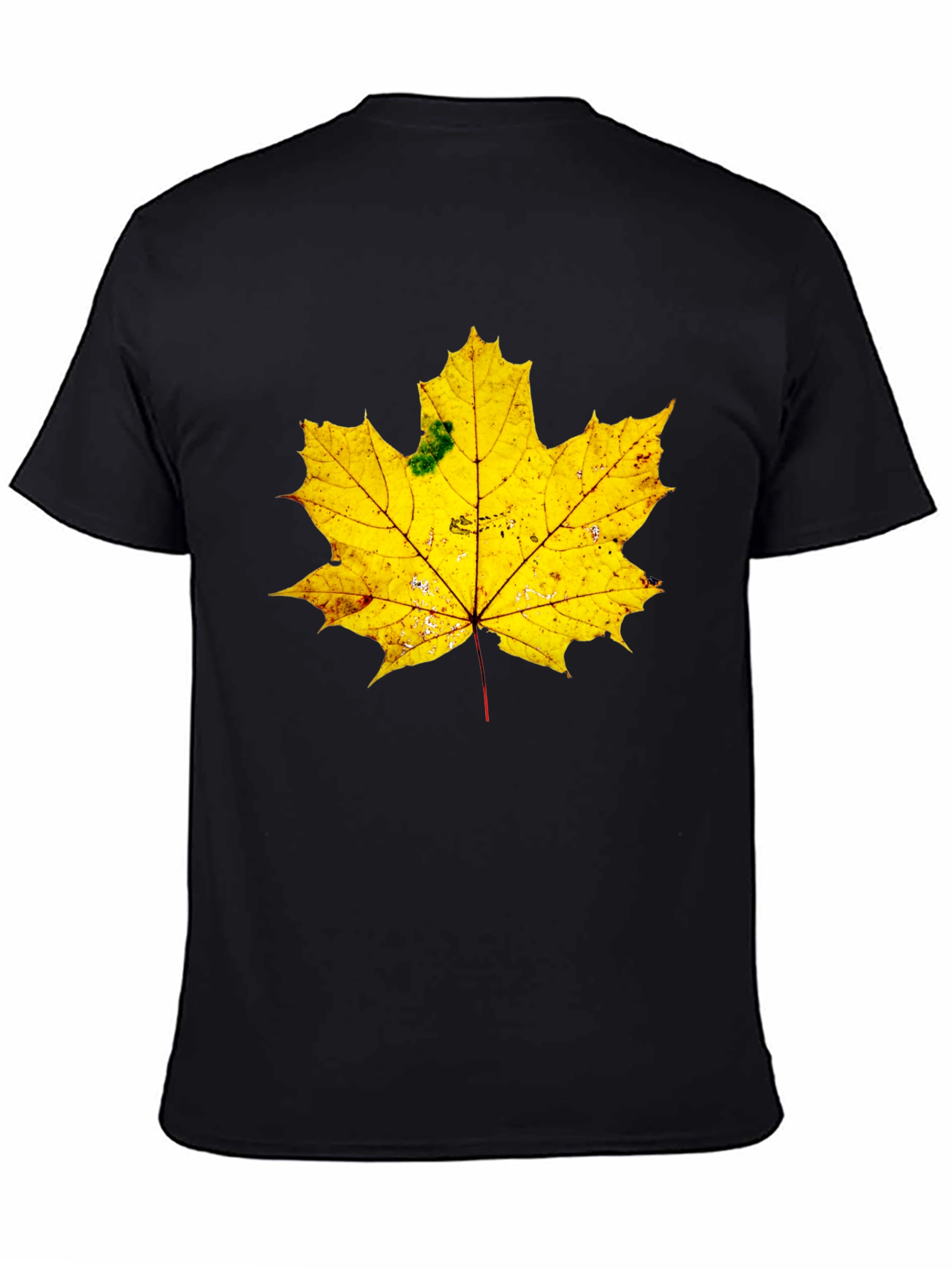 Maple Leaf Graphic Tee - Black Cotton
