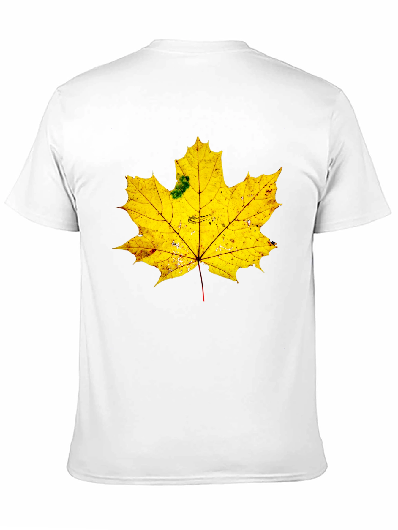 Maple Leaf Graphic Tee - Black Cotton