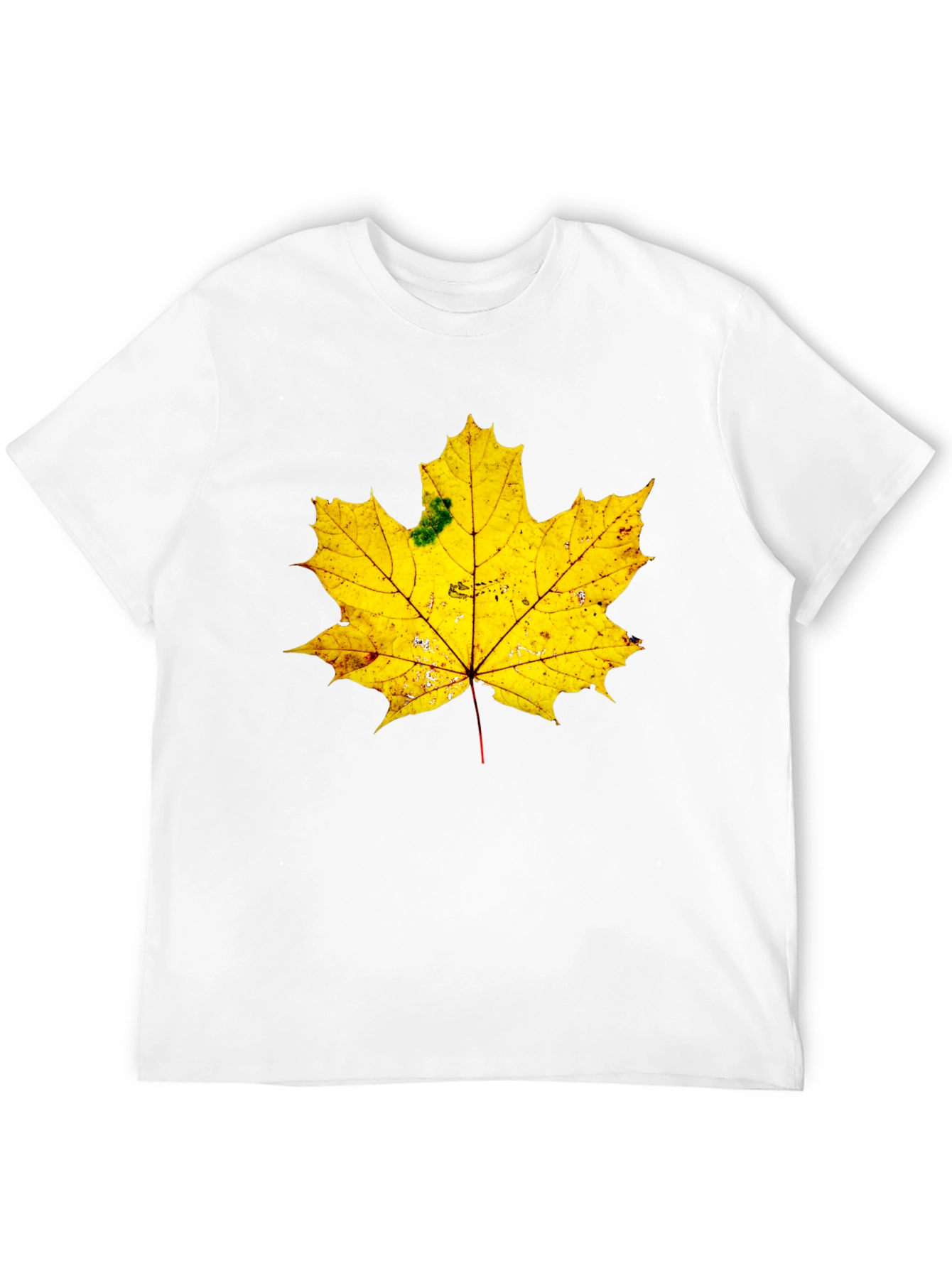 Maple Leaf Graphic Tee - Black Cotton