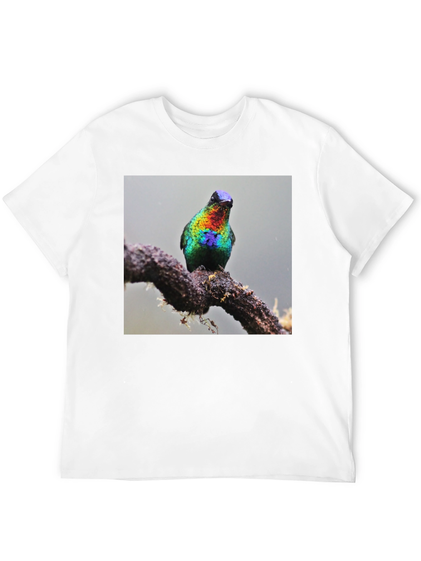 Hummingbird Print Black T-Shirt