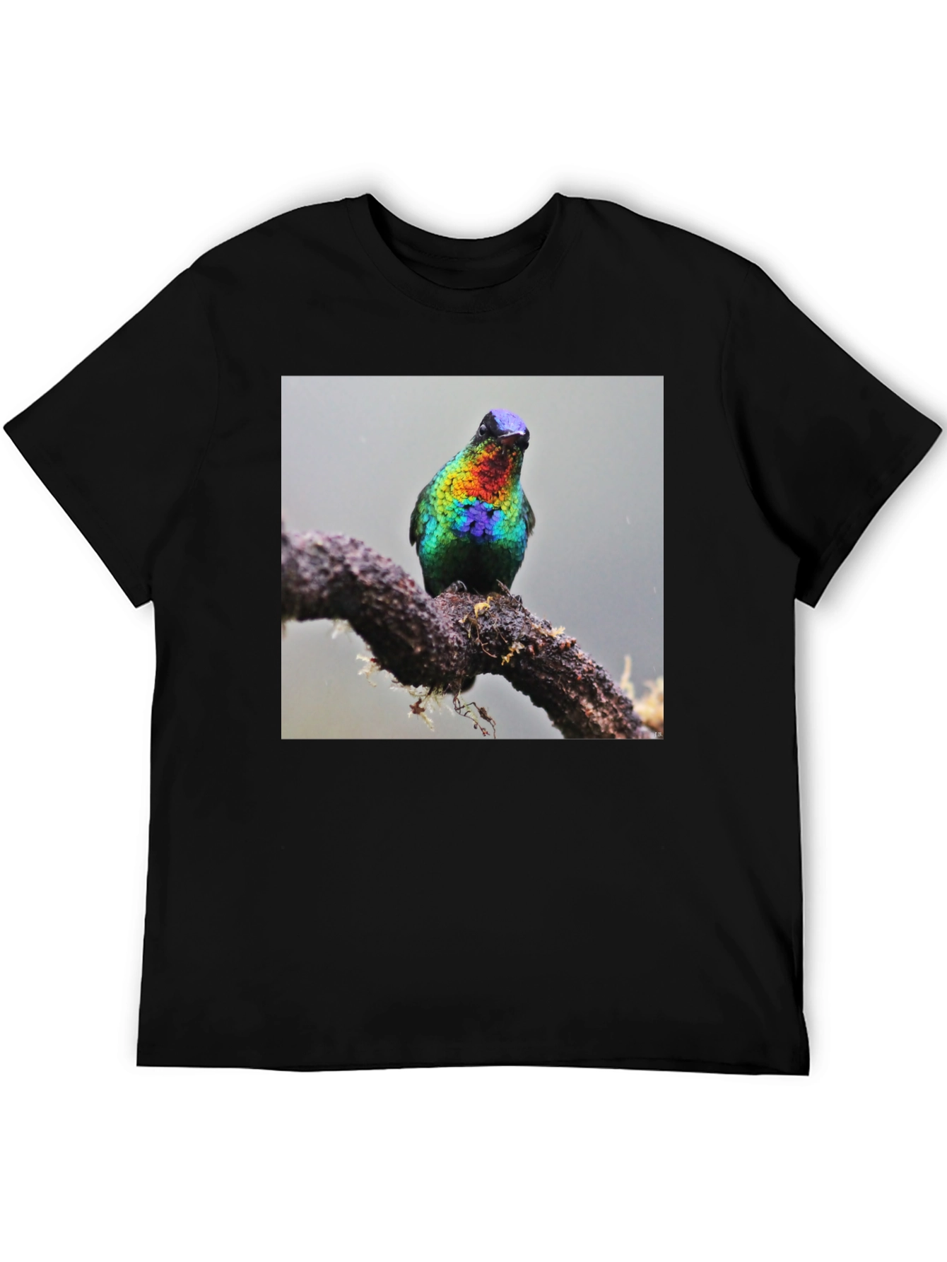 Hummingbird Print Black T-Shirt