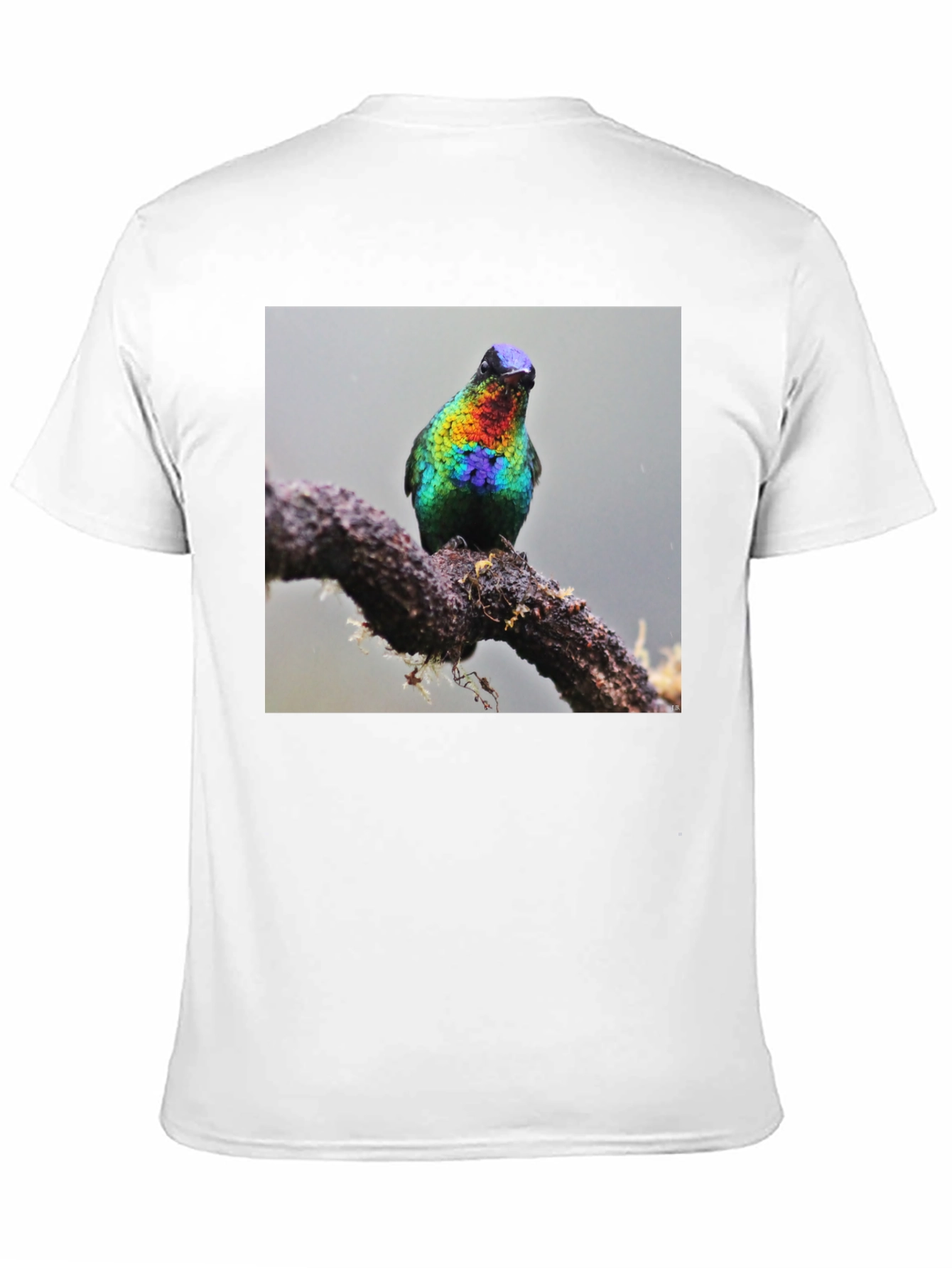 Hummingbird Print Black T-Shirt