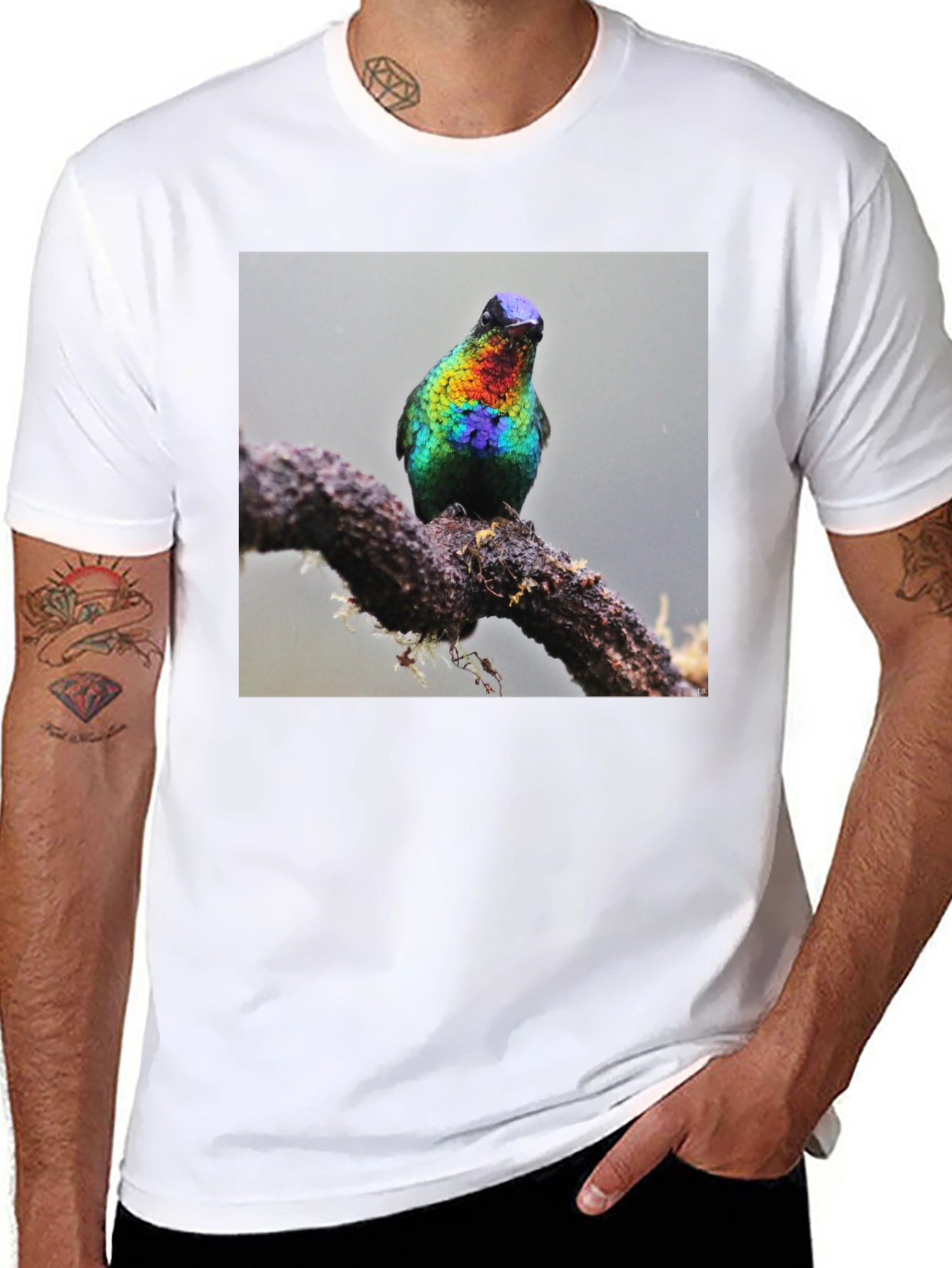Hummingbird Print Black T-Shirt