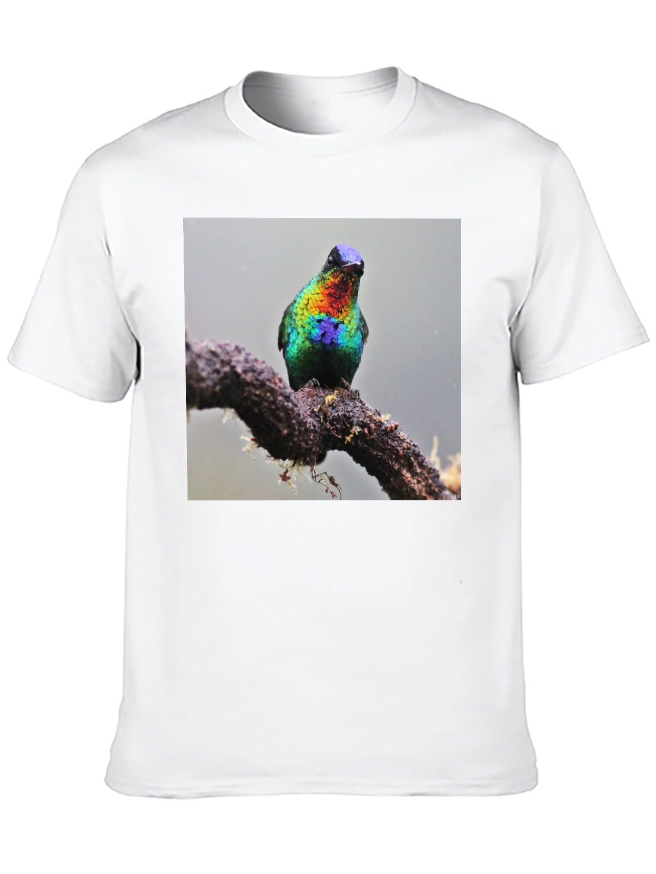 Hummingbird Print Black T-Shirt
