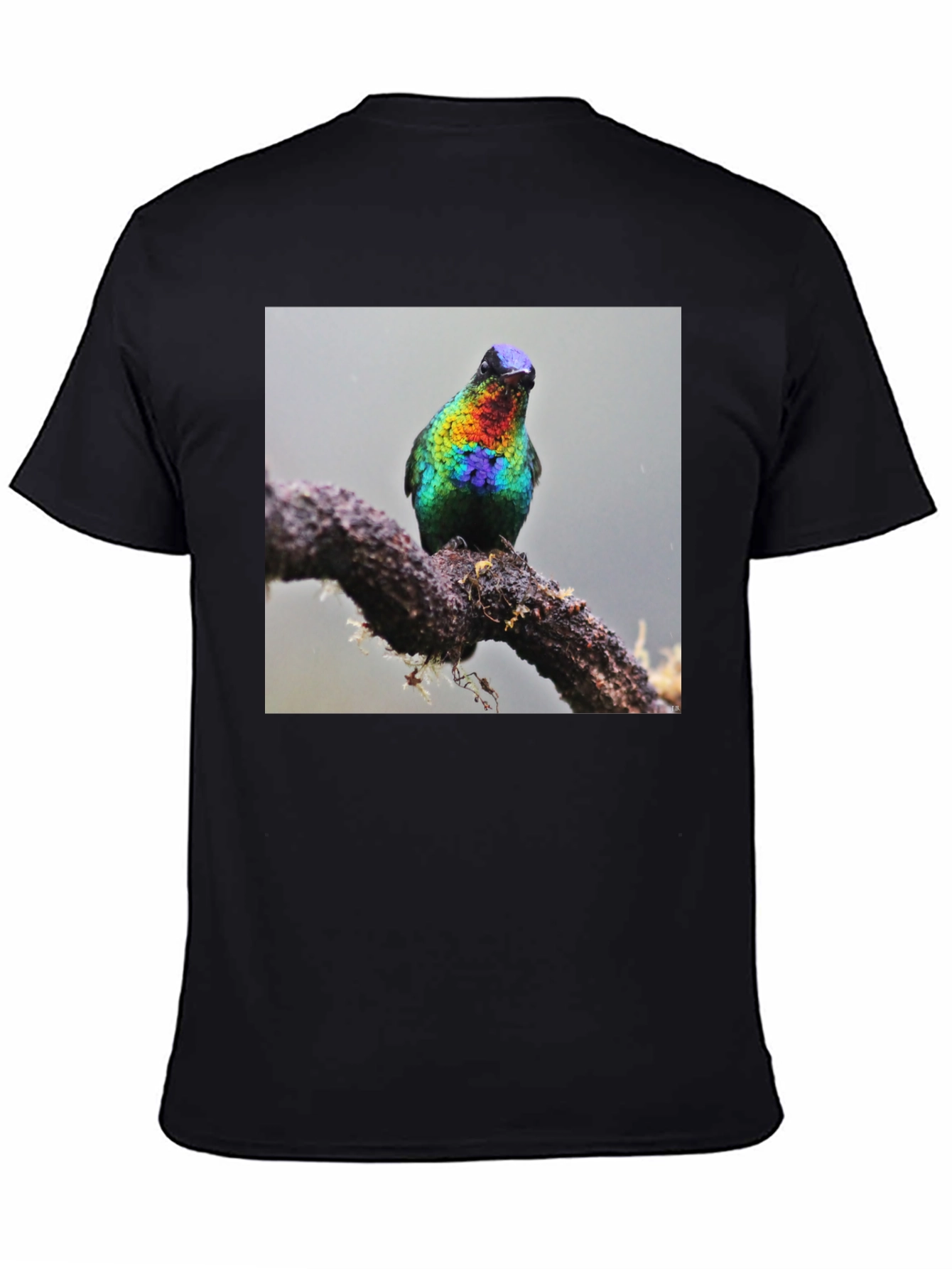 Hummingbird Print Black T-Shirt