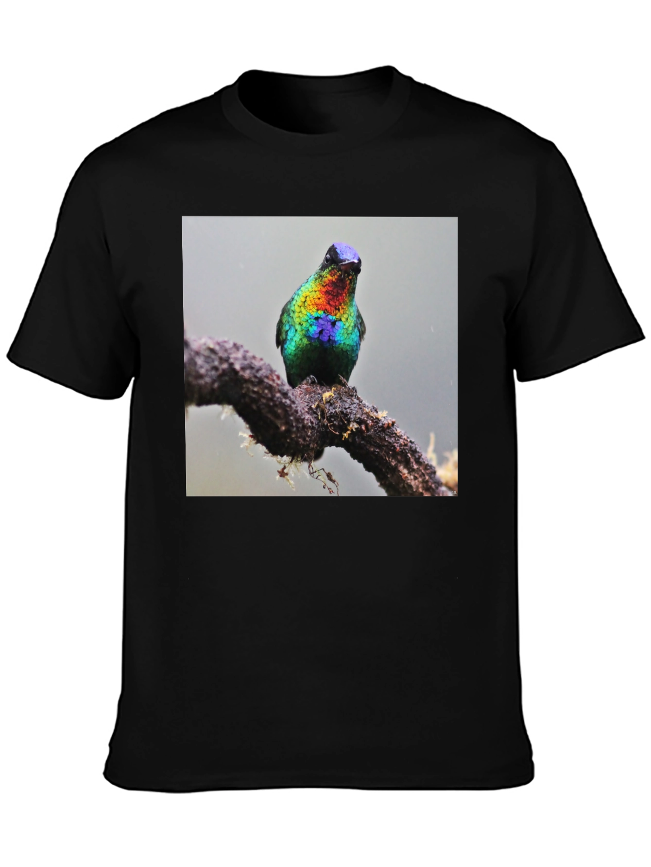 Hummingbird Print Black T-Shirt